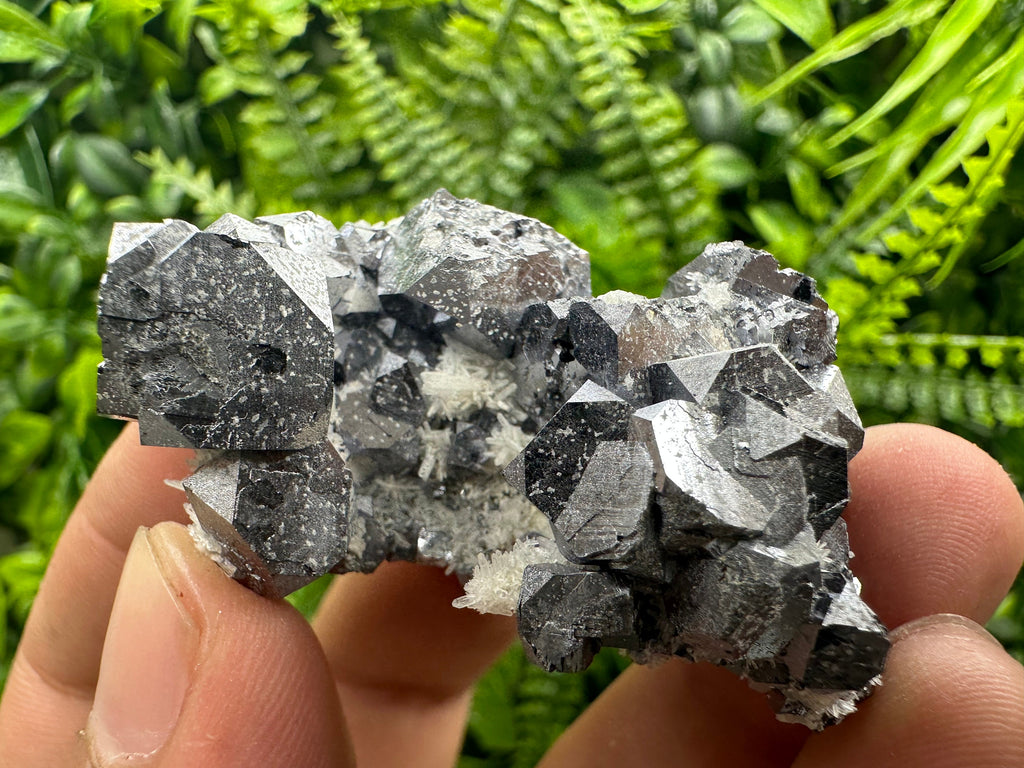 Shiny Galena on Quartz, Borieva Mine, Bulgaria