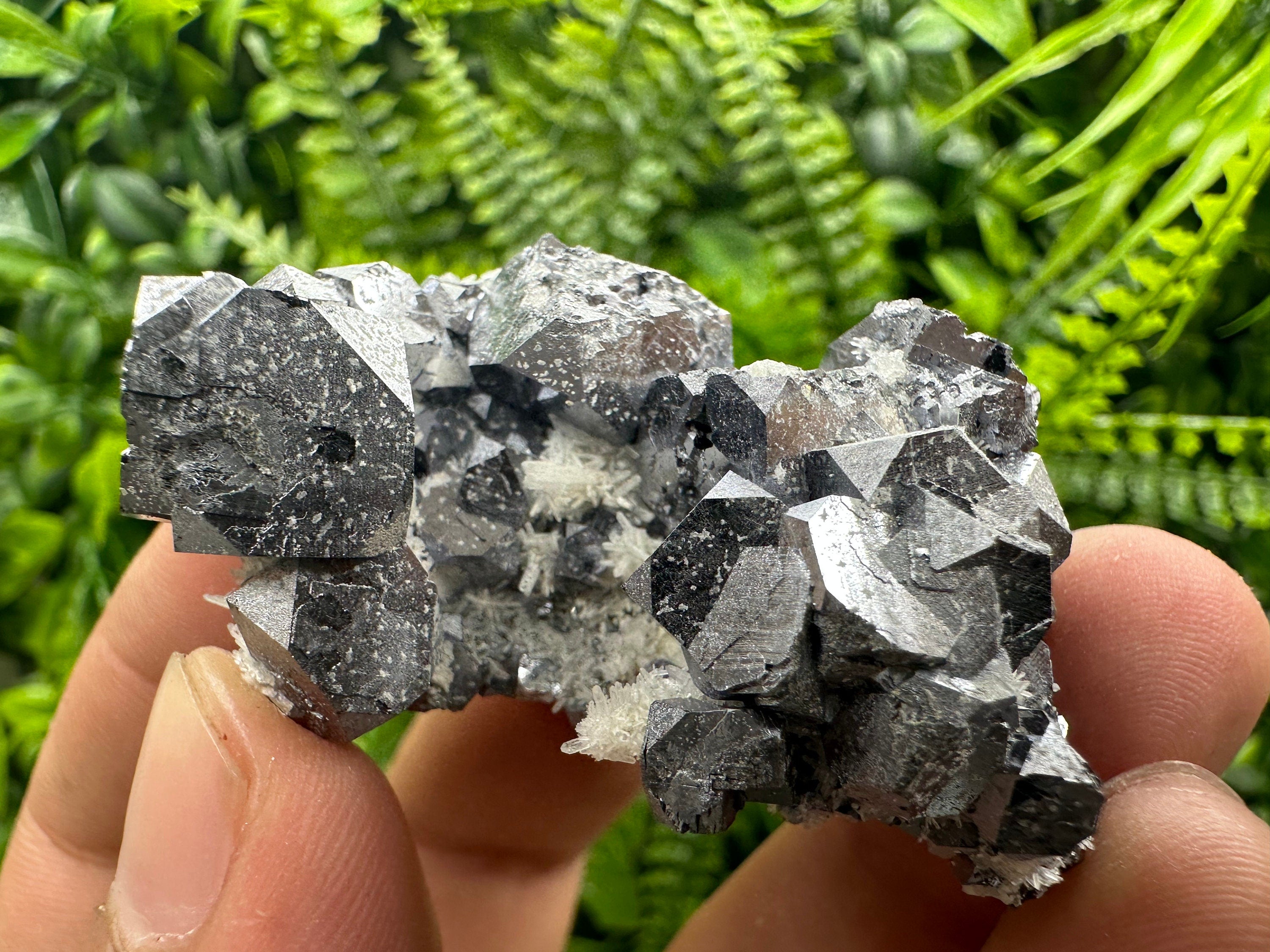 Shiny Galena on Quartz, Borieva Mine, Bulgaria