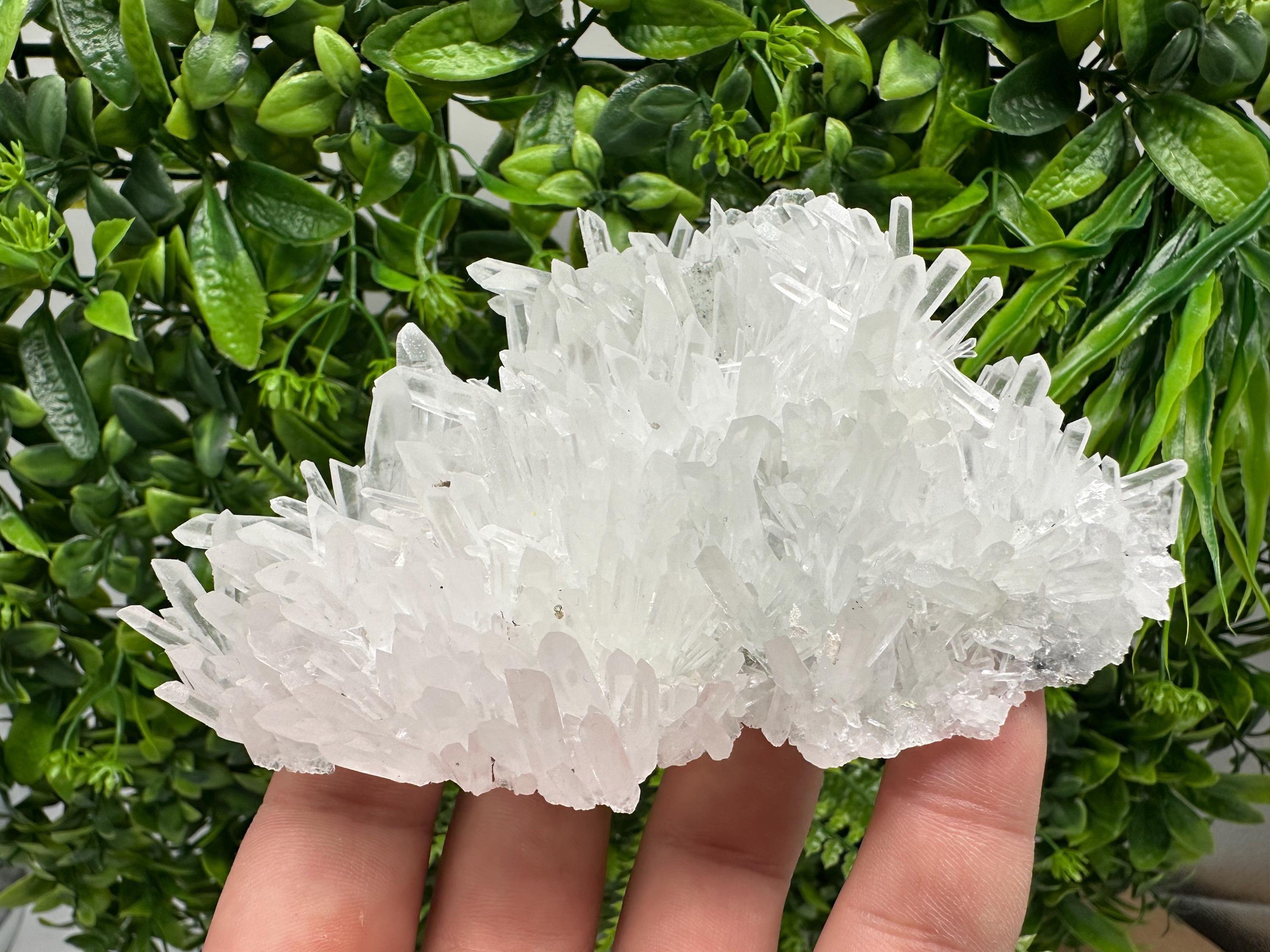 Stunning Transparent Quartz,from Borieva mine,natural collection mineral specimen rare crystal,home decor crystal,quartz cluster,Quartz,gift