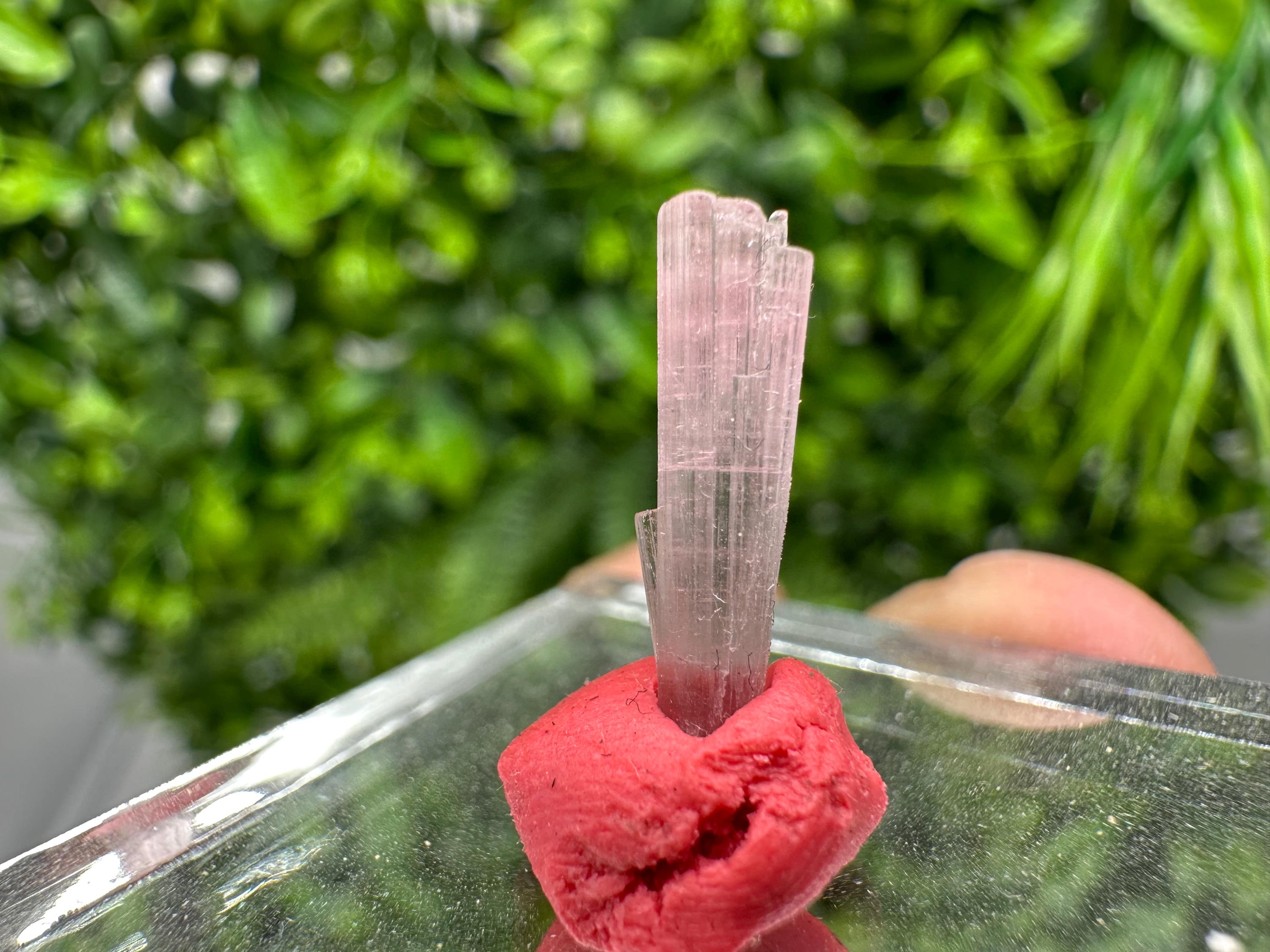 Rare Pink and Green Tourmaline Pencil - 15mm