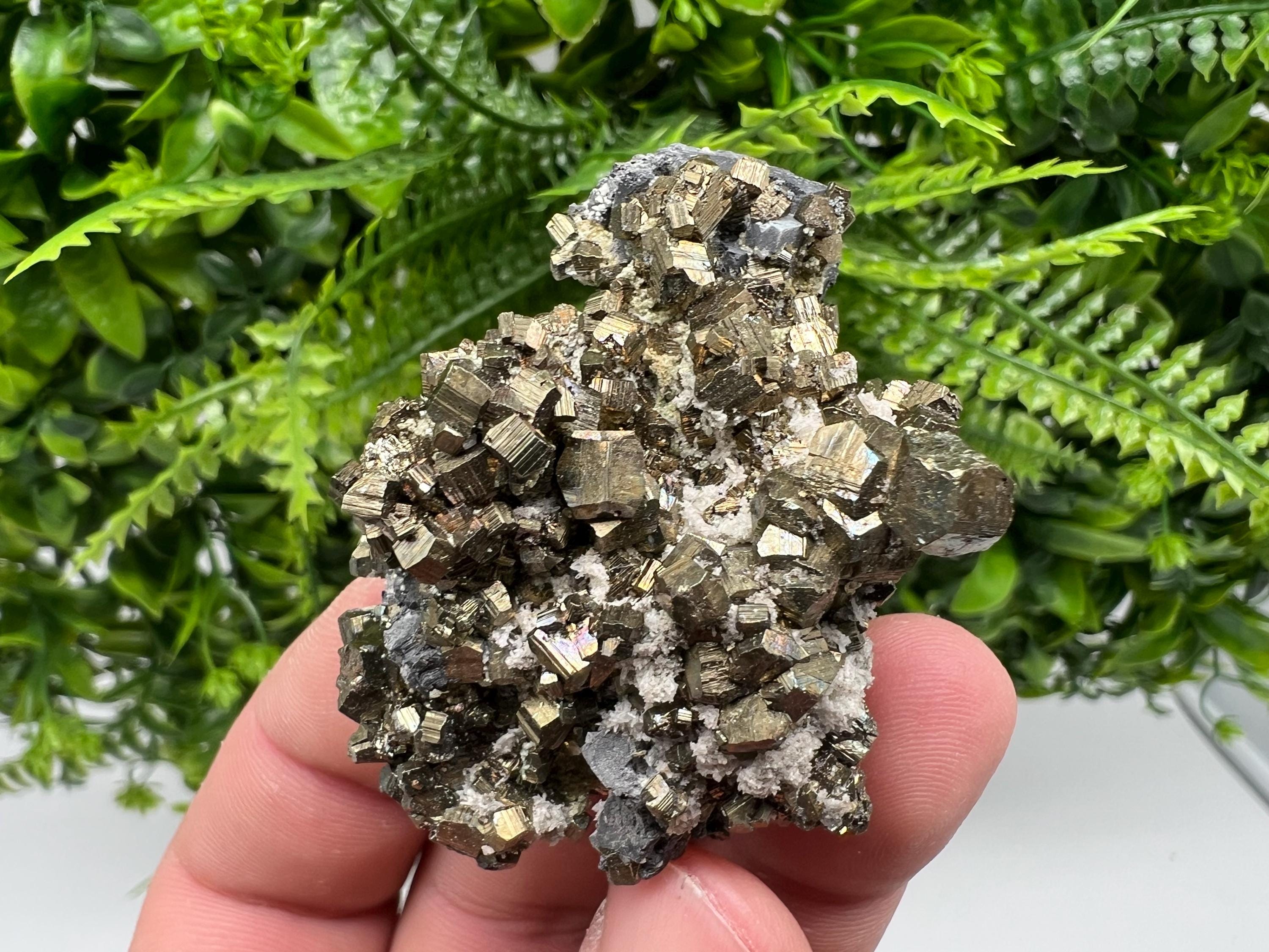 Rare Pyrite Cluster: Golden Rainbow Crystallization, Borieva Mine