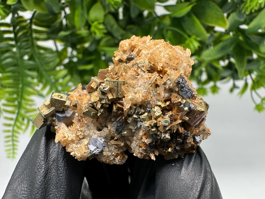 Quartz with Pyrite,Galena,iron oxide Specimen: Borieva Mine Crystal Decor