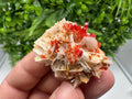 Red Vanadinite on Barite from Marocco,crystal minerals Speciment cluster Vanadinite crystal Vanadinite Geology Vanadinite cluster minerals