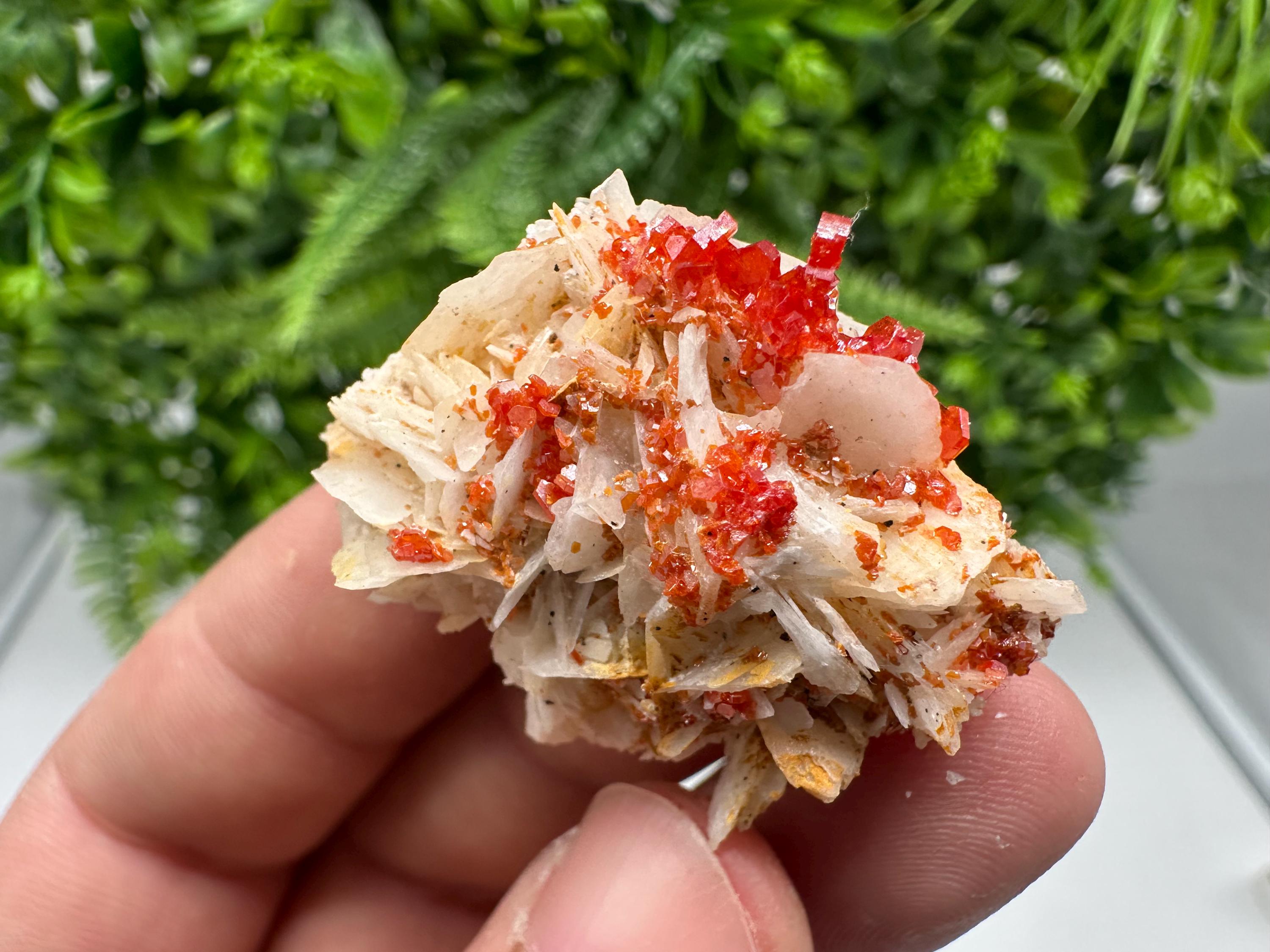Red Vanadinite on Barite from Marocco,crystal minerals Speciment cluster Vanadinite crystal Vanadinite Geology Vanadinite cluster minerals