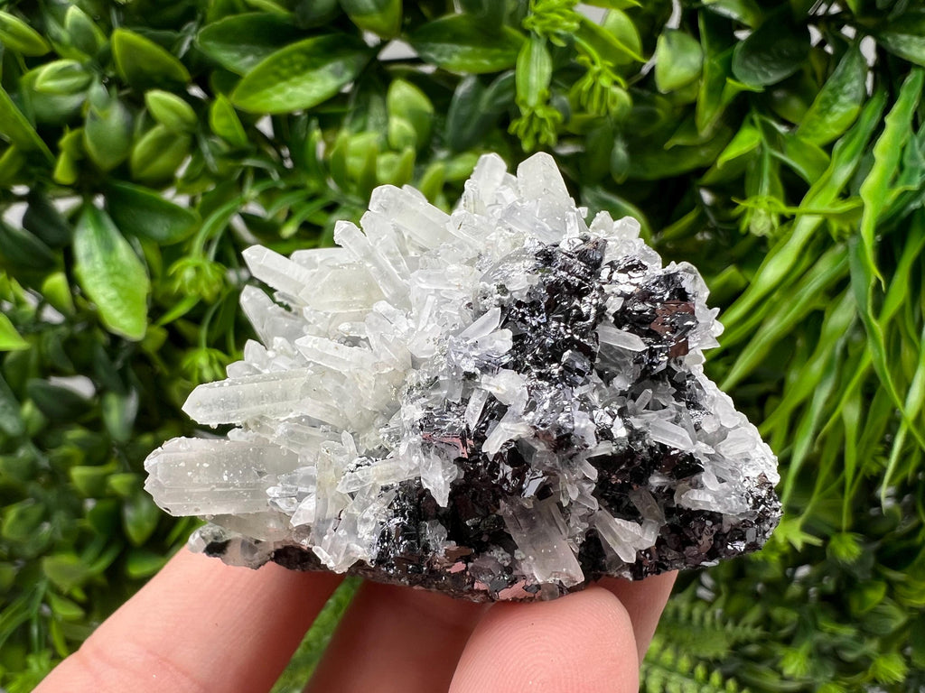 Transparent Quartz Cluster, Borieva Mine Mineral Specimen, Home Decor Crystal