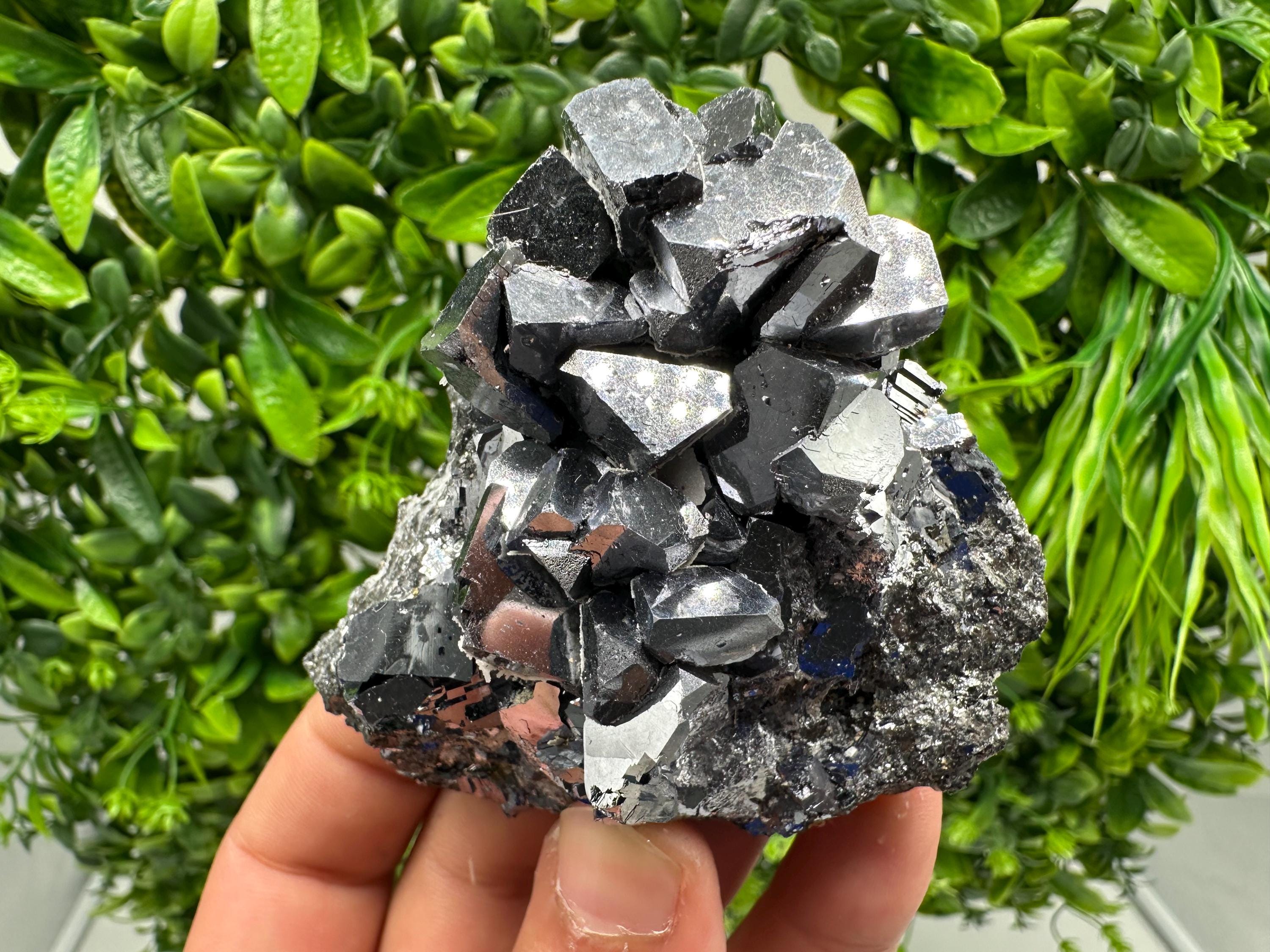 Rare Galena Cubes, Extra Mirror, Marzyan Mine, Bulgaria