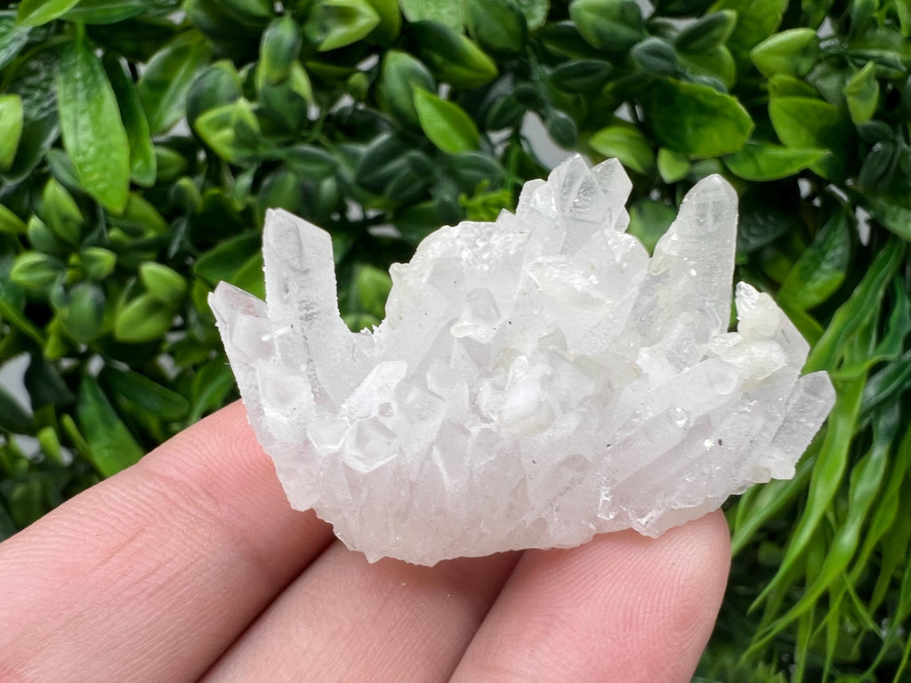 Wonderful Transparent Quartz on Chlorite Matrix,From Borieva mine,Madan,Bulgaria,Quartz,Quartz crystal,mineral specimen,collection quartz