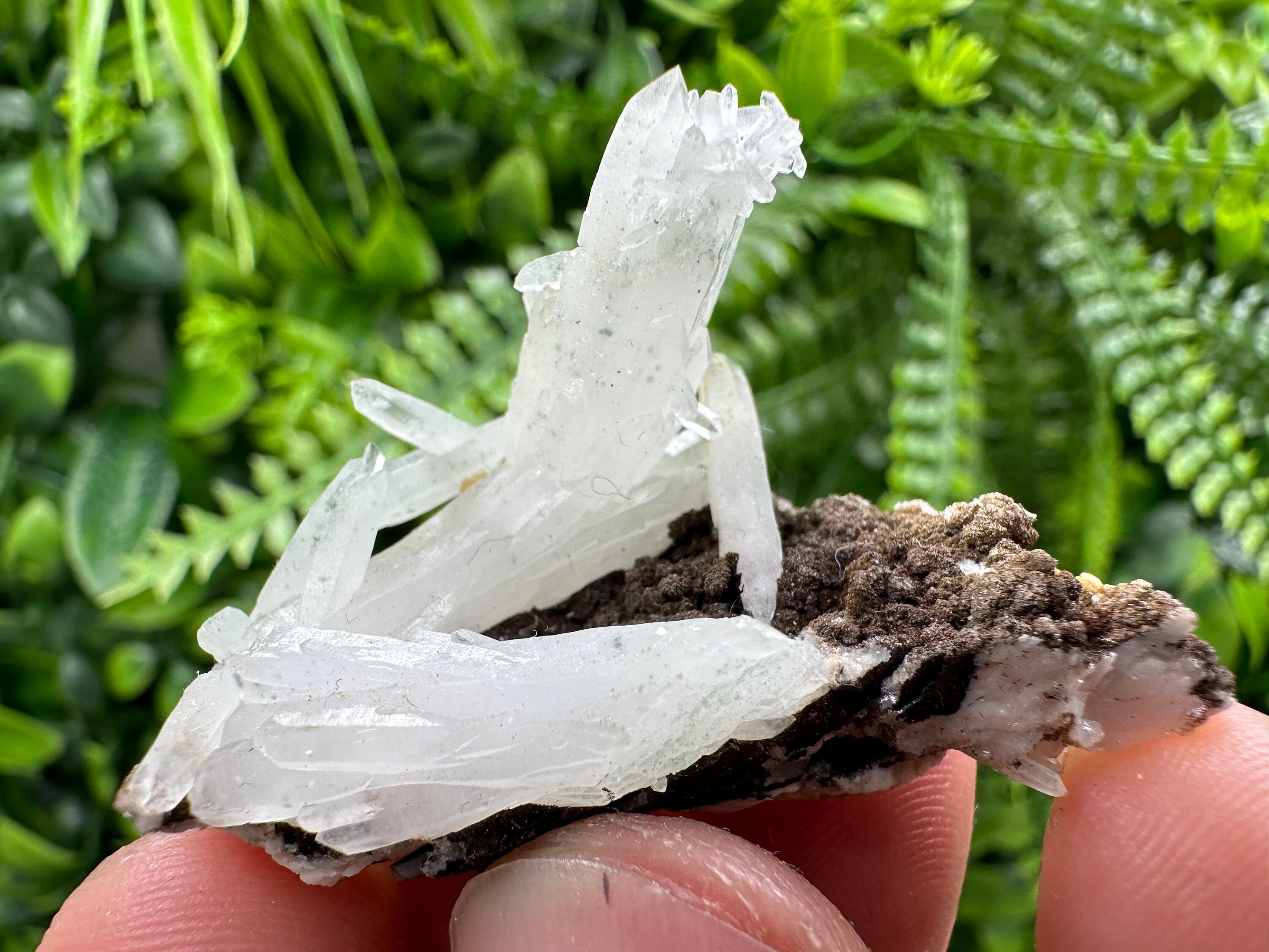 Quartz with Chlorite, Rhodochrosite and Siderite Crystal Mineral Specimen