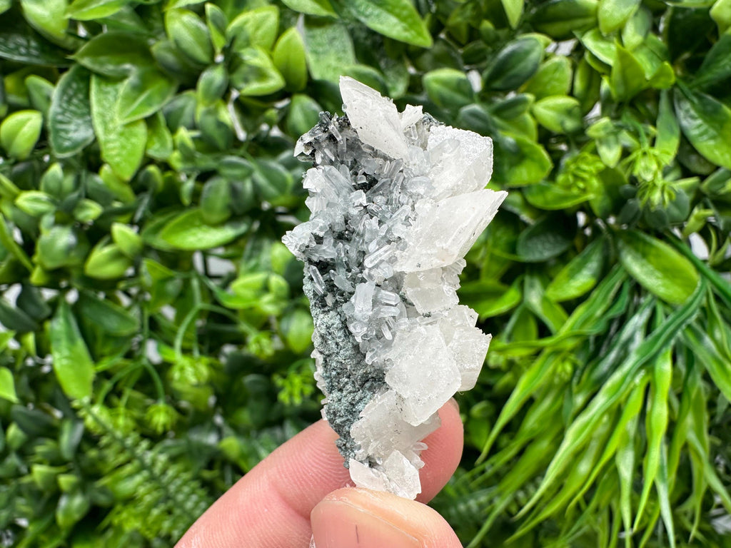 Quartz Calcite on Chlorite Matrix, Borieva Mine Mineral Specimen