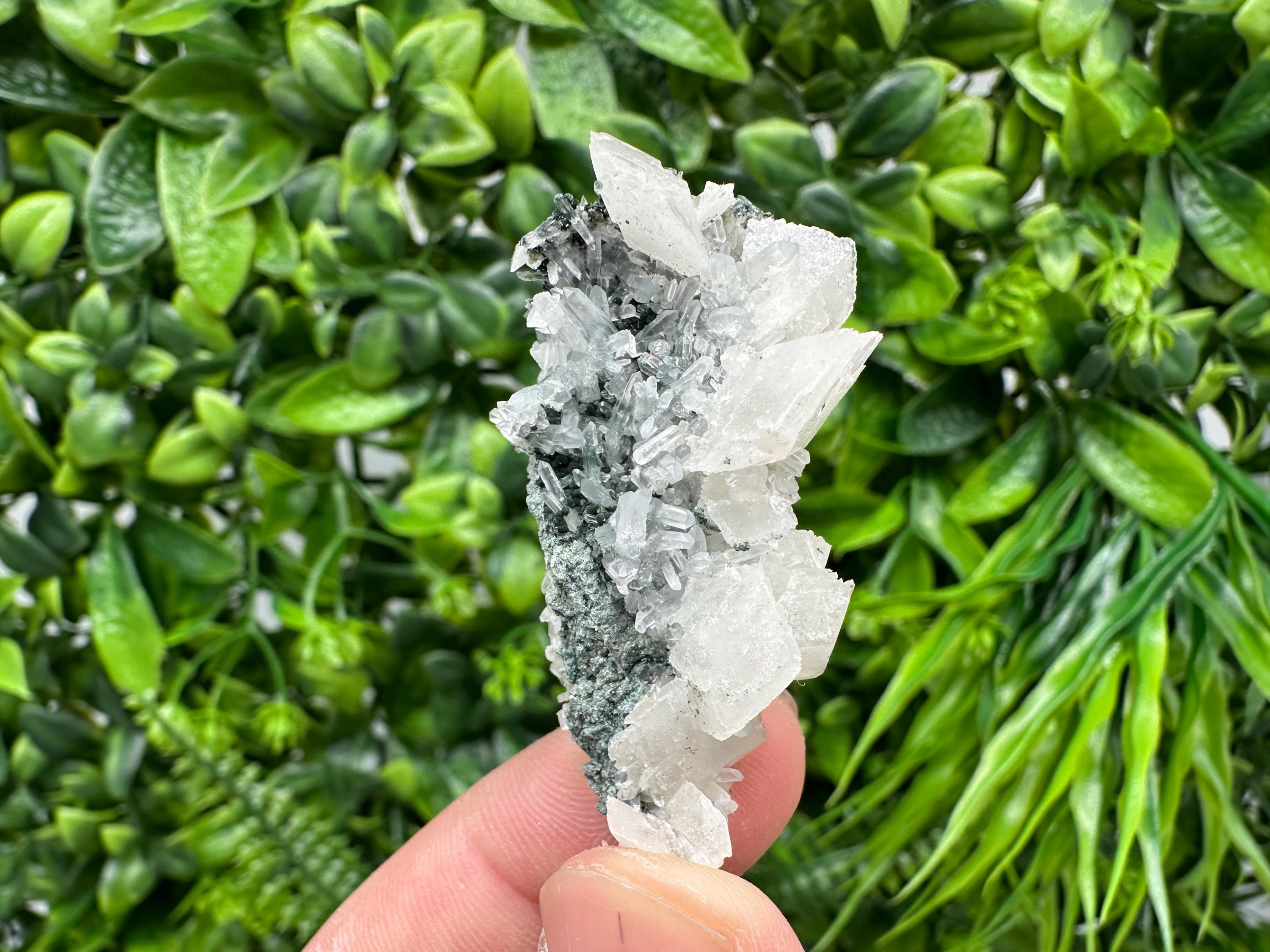 Quartz Calcite on Chlorite Matrix, Borieva Mine Mineral Specimen