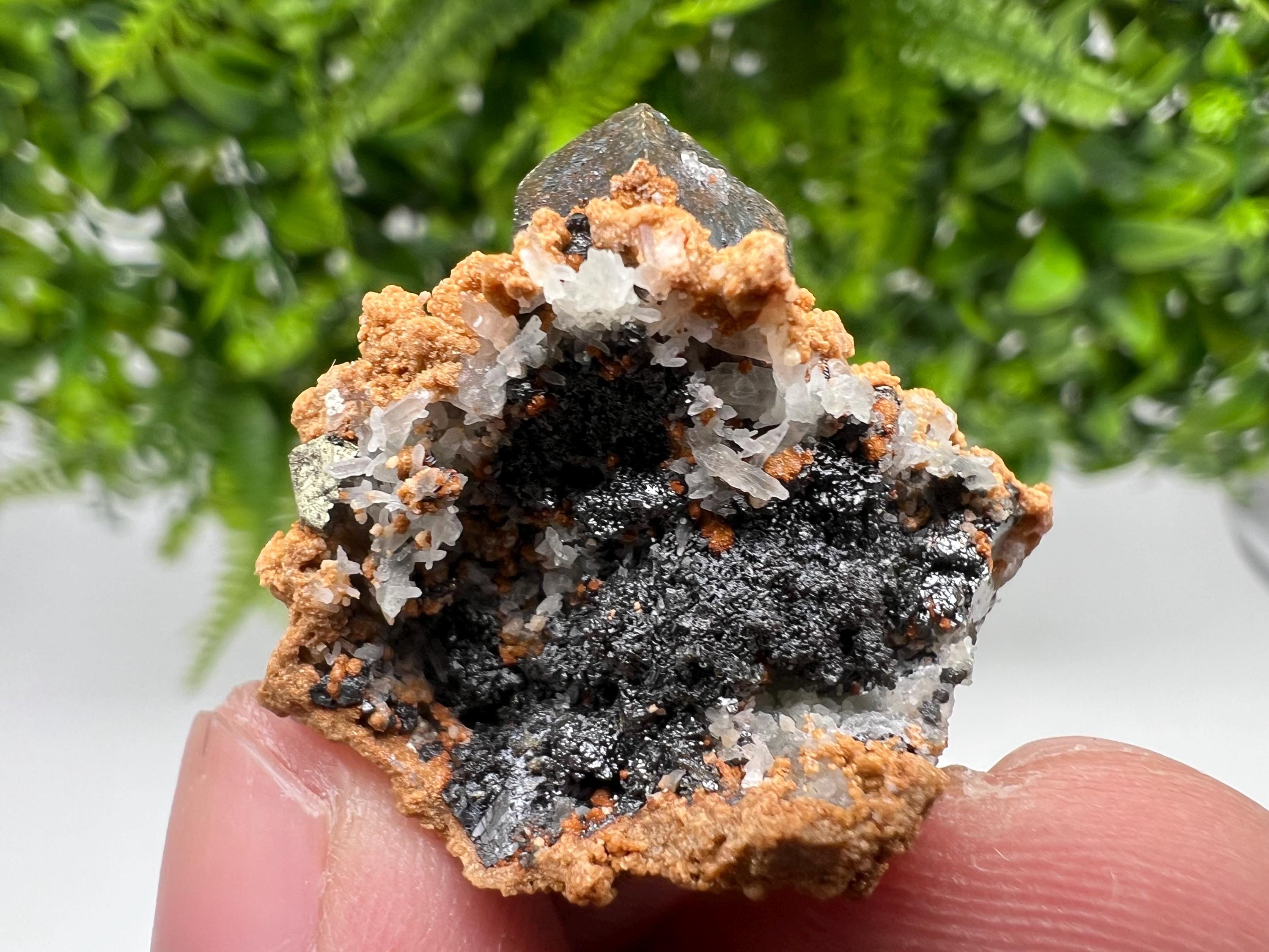 Chalcopyrite with Hematite on Siderite Specimen, Bulgaria Mineral Collection