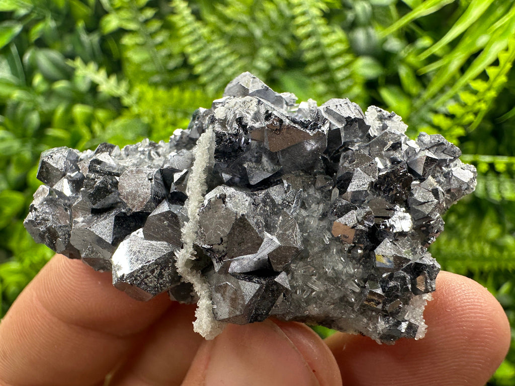 Shiny Galena on Quartz: Natural Mineral Souvenir from Bulgaria