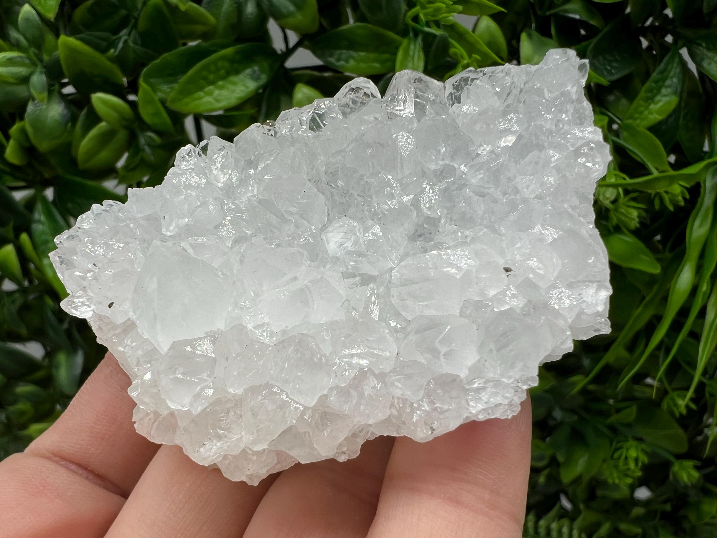 Transparent Quartz on Chlorite Matrix, Borieva Mine, Bulgaria