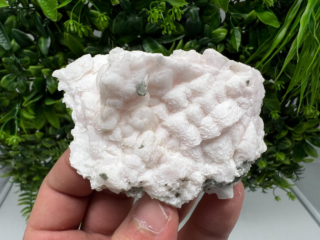 Mangano Calcite with Galena, Borieva Mine, Bulgaria