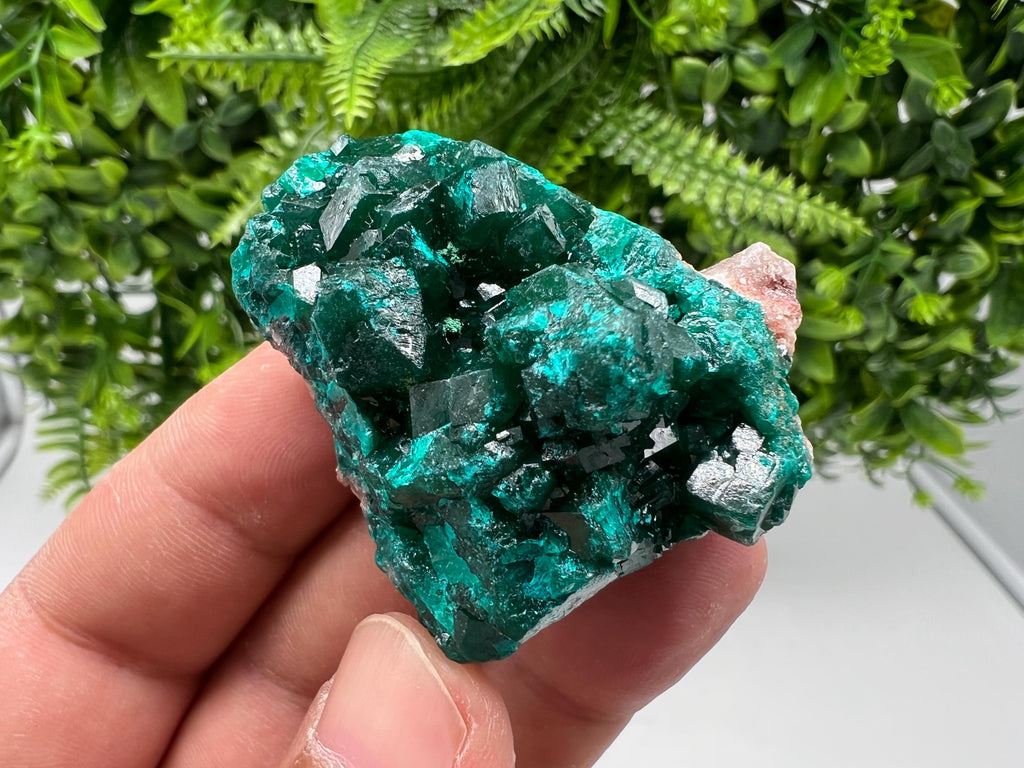 Stunning Green Dioptase from Sanda Hills,Mindouli,Pool Department,Mindouli District,Congo,green Dioptase,Dioptas Crystal,Dioptase collecting