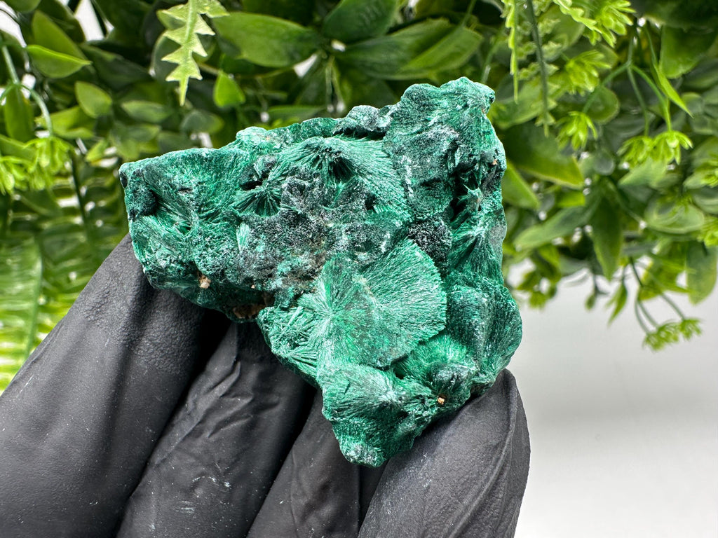 Malachite Crystal from Congo,Minerals,Crystals from Congo,Green Malachite, Malachite,Natural Malachite,Malachite Stone,Chakra, Specimens