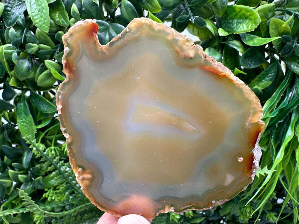 Polished Agate Slice: Spiritual Healing Crystal Coaster (10/9cm)
