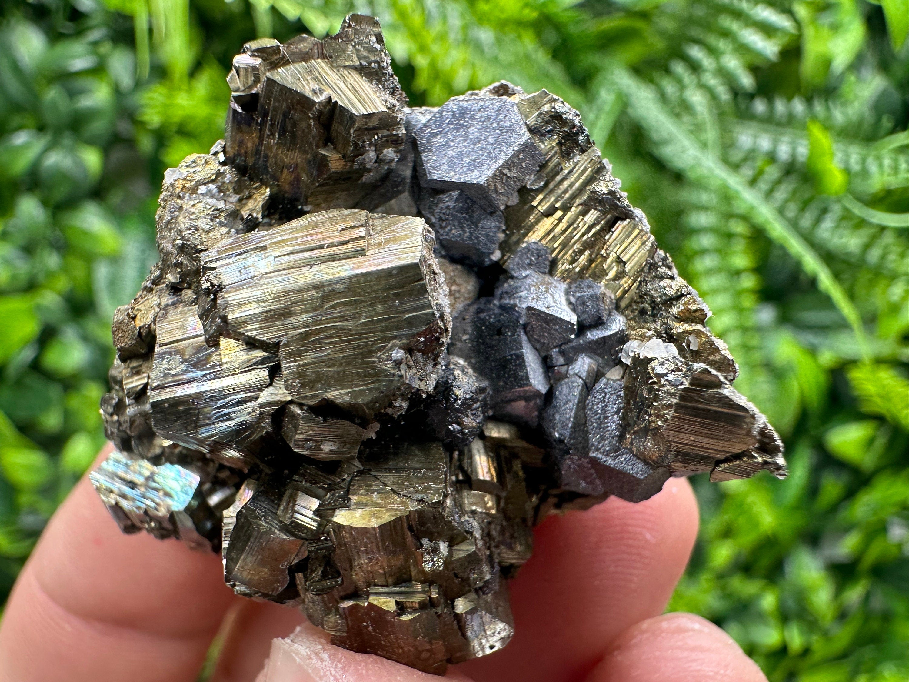 Pyrite with Hematite Specimen, Madan Bulgaria Mineral Gift