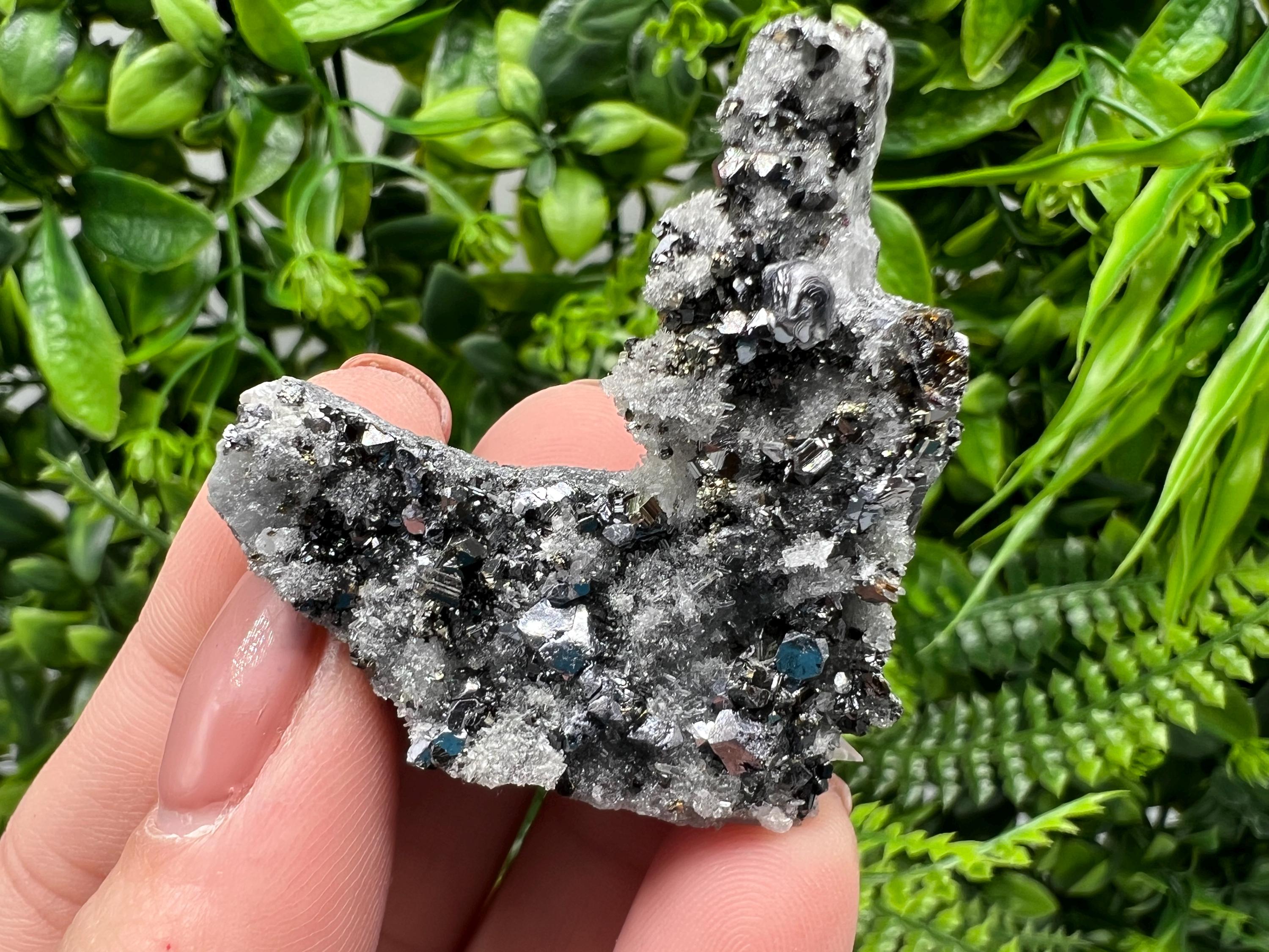 Galena Sphalerite on Quartz, Borieva Mine Bulgaria