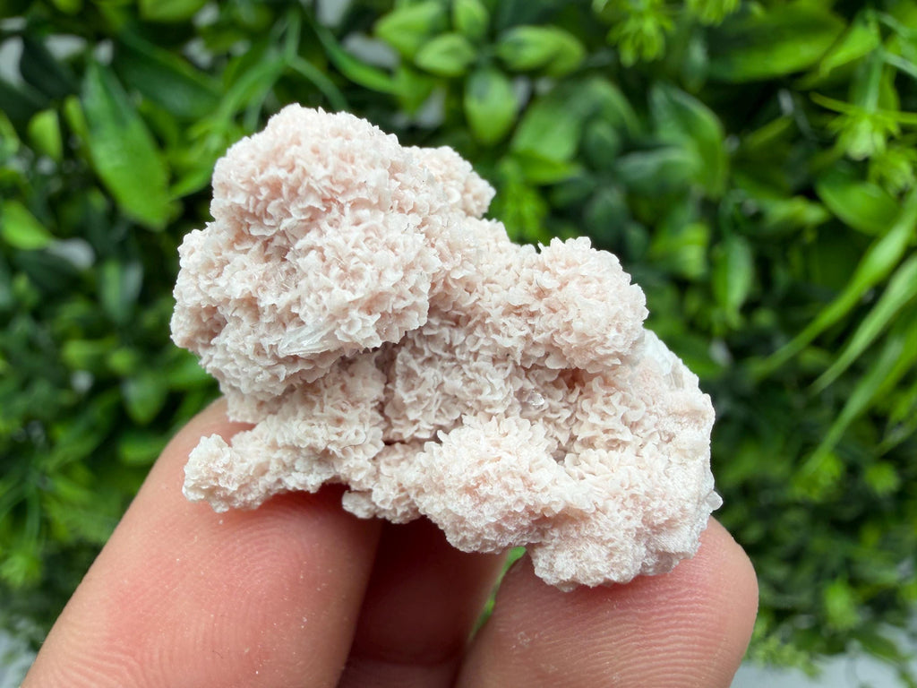 Stunning Quartz whit Chlorite on Rhodochrosite covered whit siderite natural minerals souvenir crystal home decor stone 9th September mine