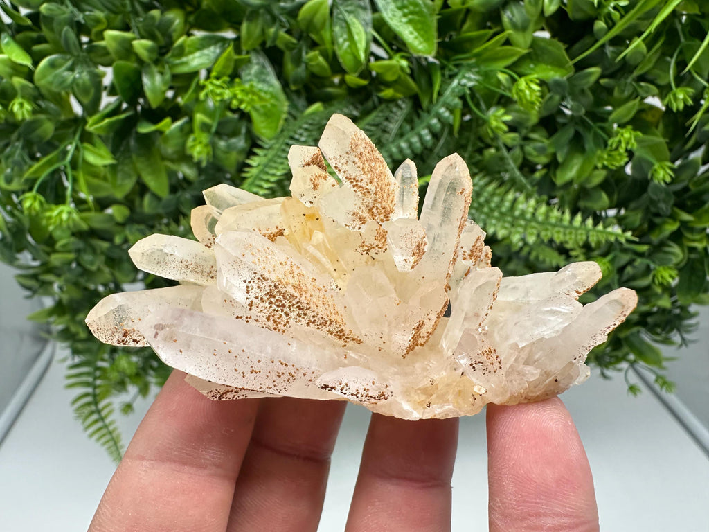 Transparent Quartz whit Siderite 9th September mine Bulgaria natural minerals souvenir crystal stone gift minerals collection rock