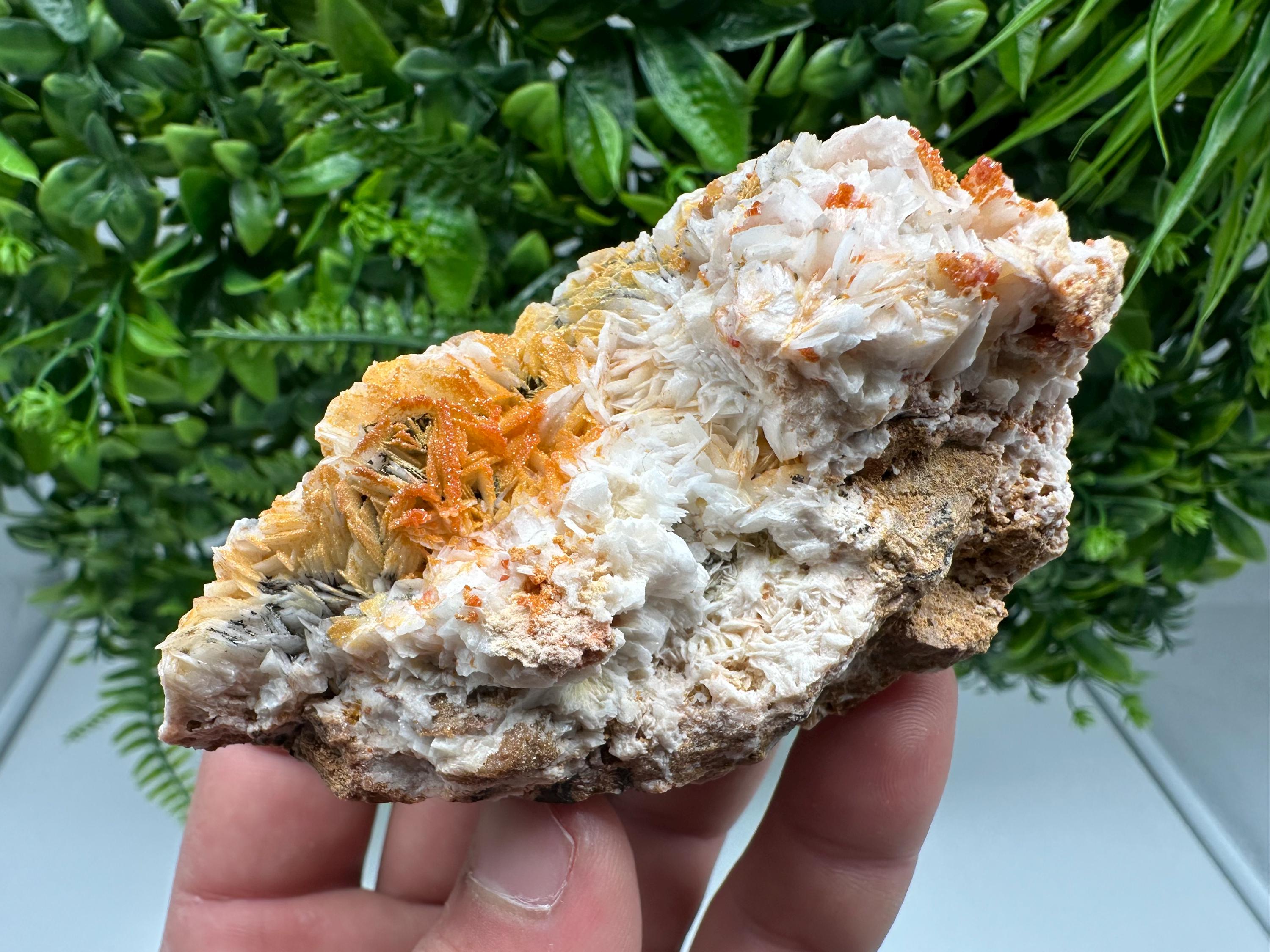 Red Vanadinite Crystal Cluster on Barite, Morocco Mineral Specimen