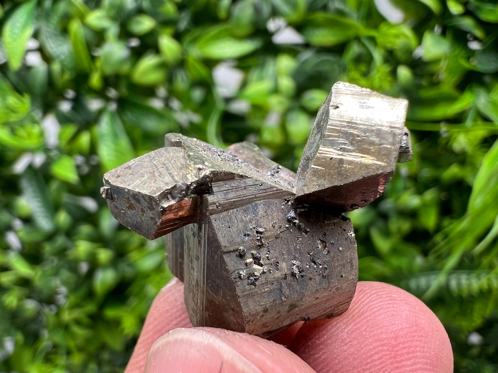 Mini Rare crystallisation Pyrite,Borieva mine,Bulgaria,floating Pyrite,golden Pyrite,Pyrite cluster,mini Collection specimen,Rainbow Pyrite