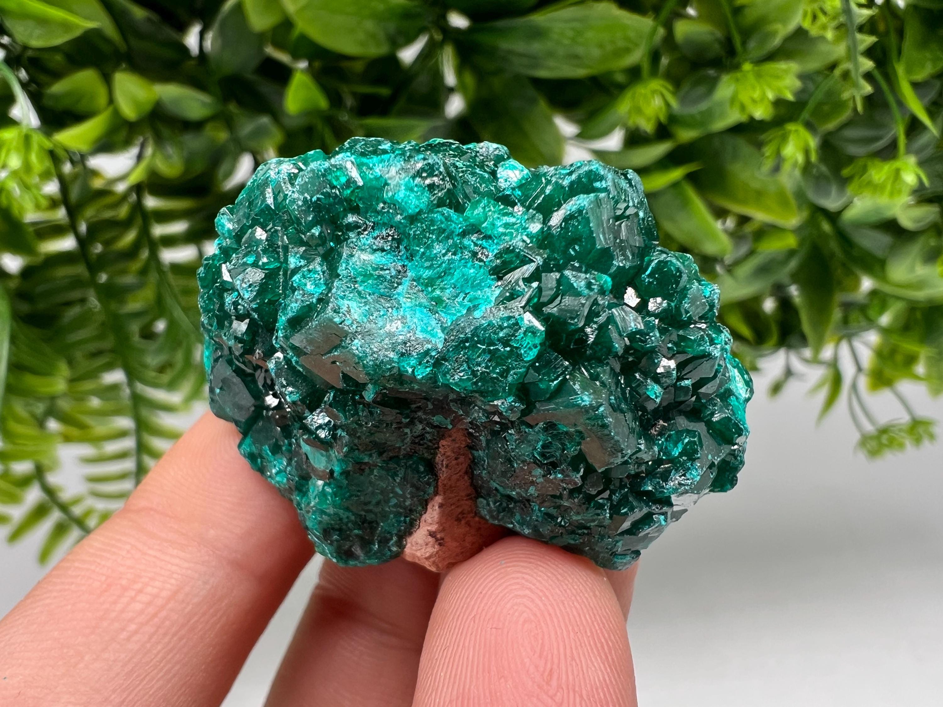 Stunning Green Dioptase from Sanda Hills,Mindouli,Pool Department,Mindouli District,Congo,green Dioptase,Dioptas Crystal,Dioptase collecting