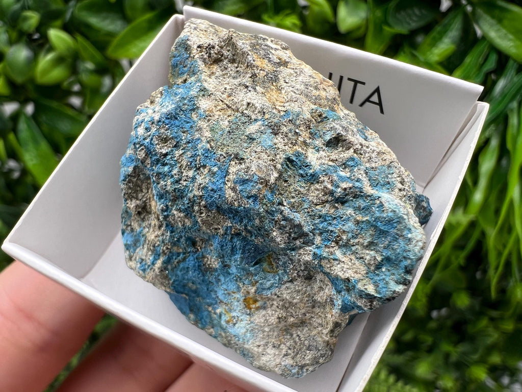 Rare Raw Aerinite Mineral Specimen: Lleida, Spain Crystal (4/3.5cm