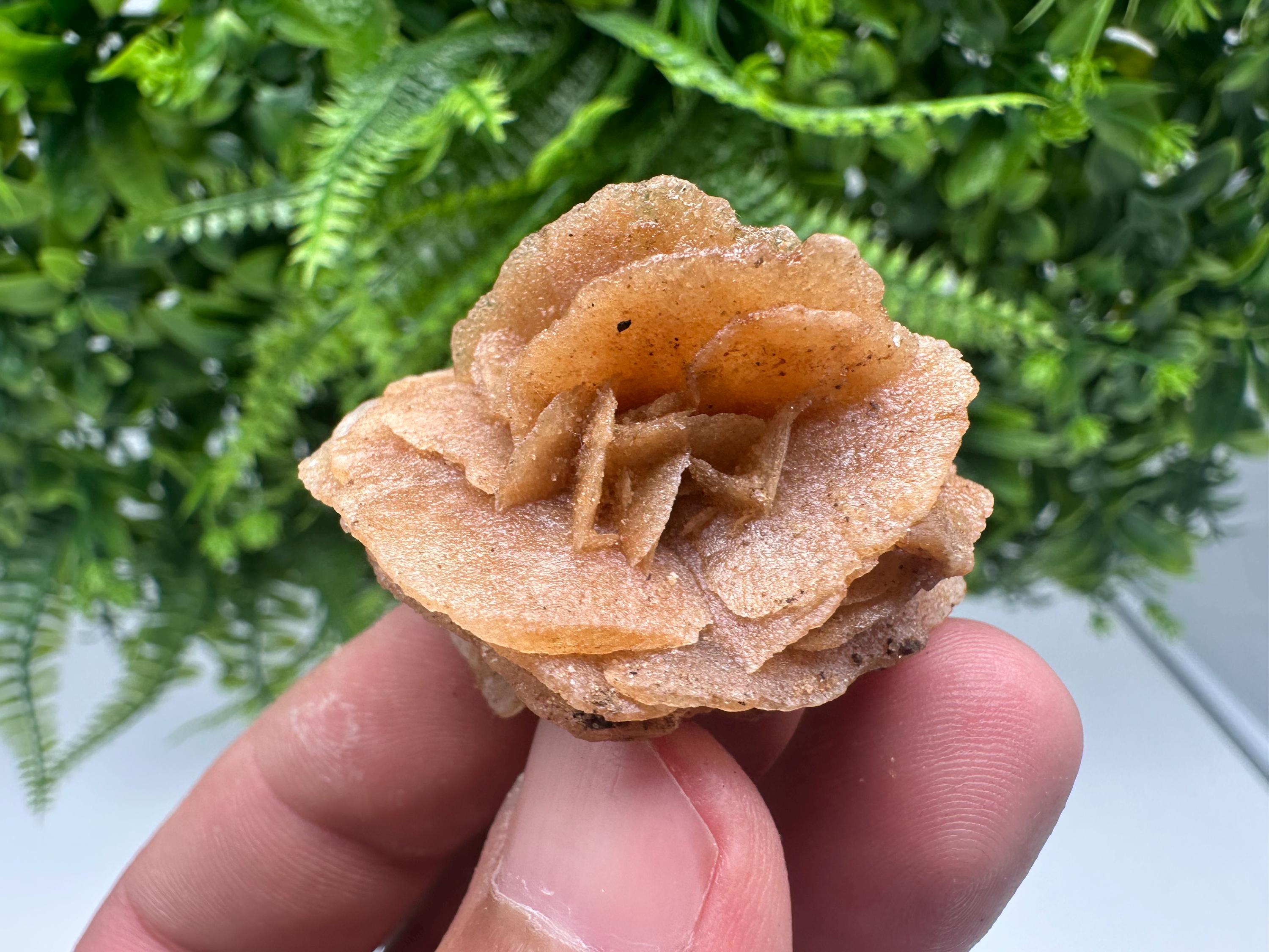 Desert Rose Crystal: Root Chakra Healing Selenite Stone