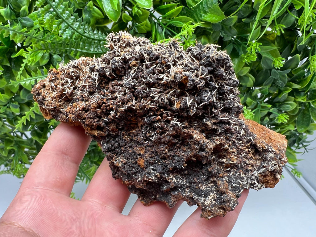 Rare Madjarovo Pyromorphite with Hematite on Quartz, Bulgaria