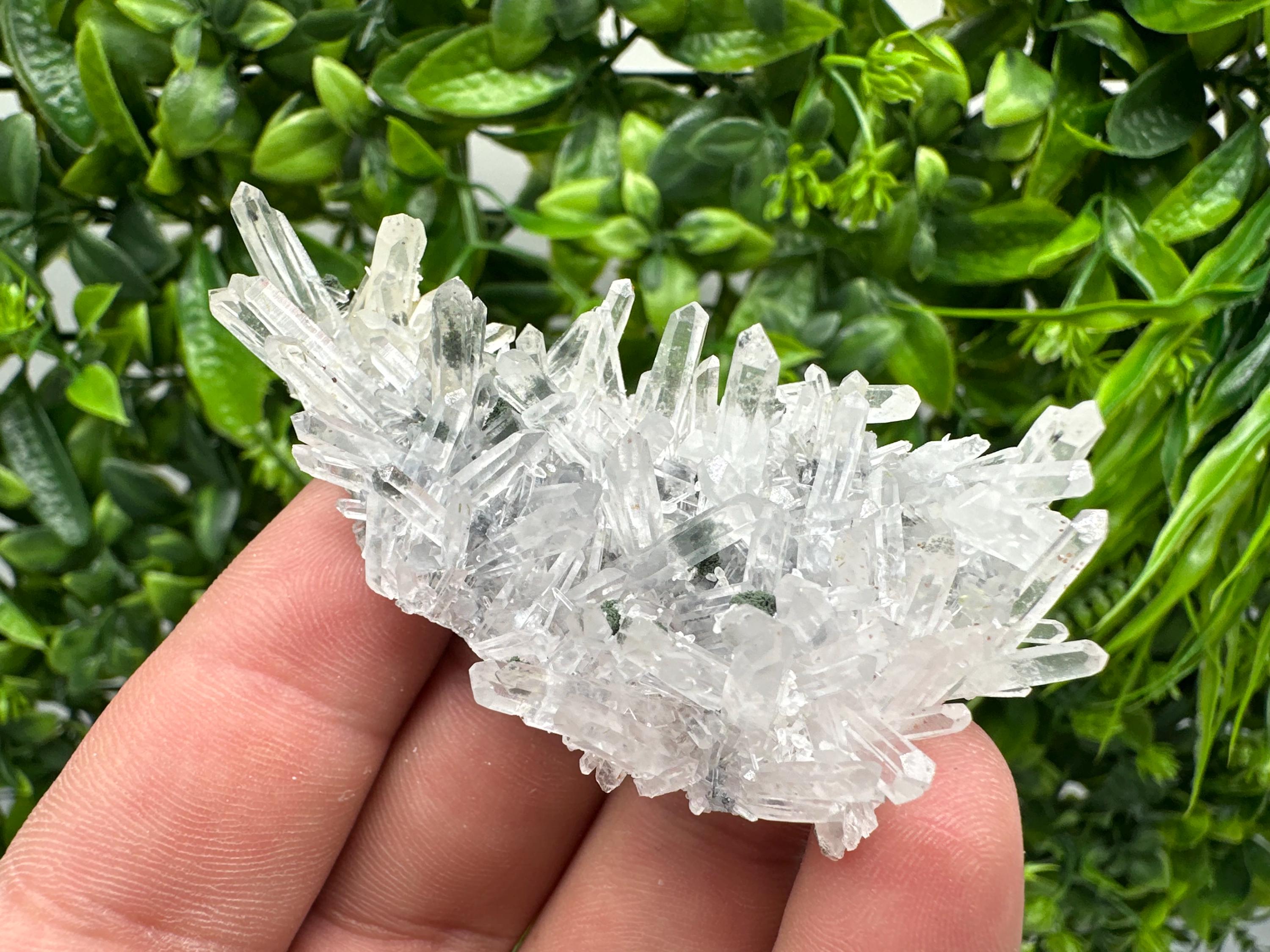 Chlorite Quartz Crystal Cluster - Borieva Mine, Bulgaria