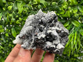Skeletal Galena Mineral Specimen, Drujba Mine Bulgaria