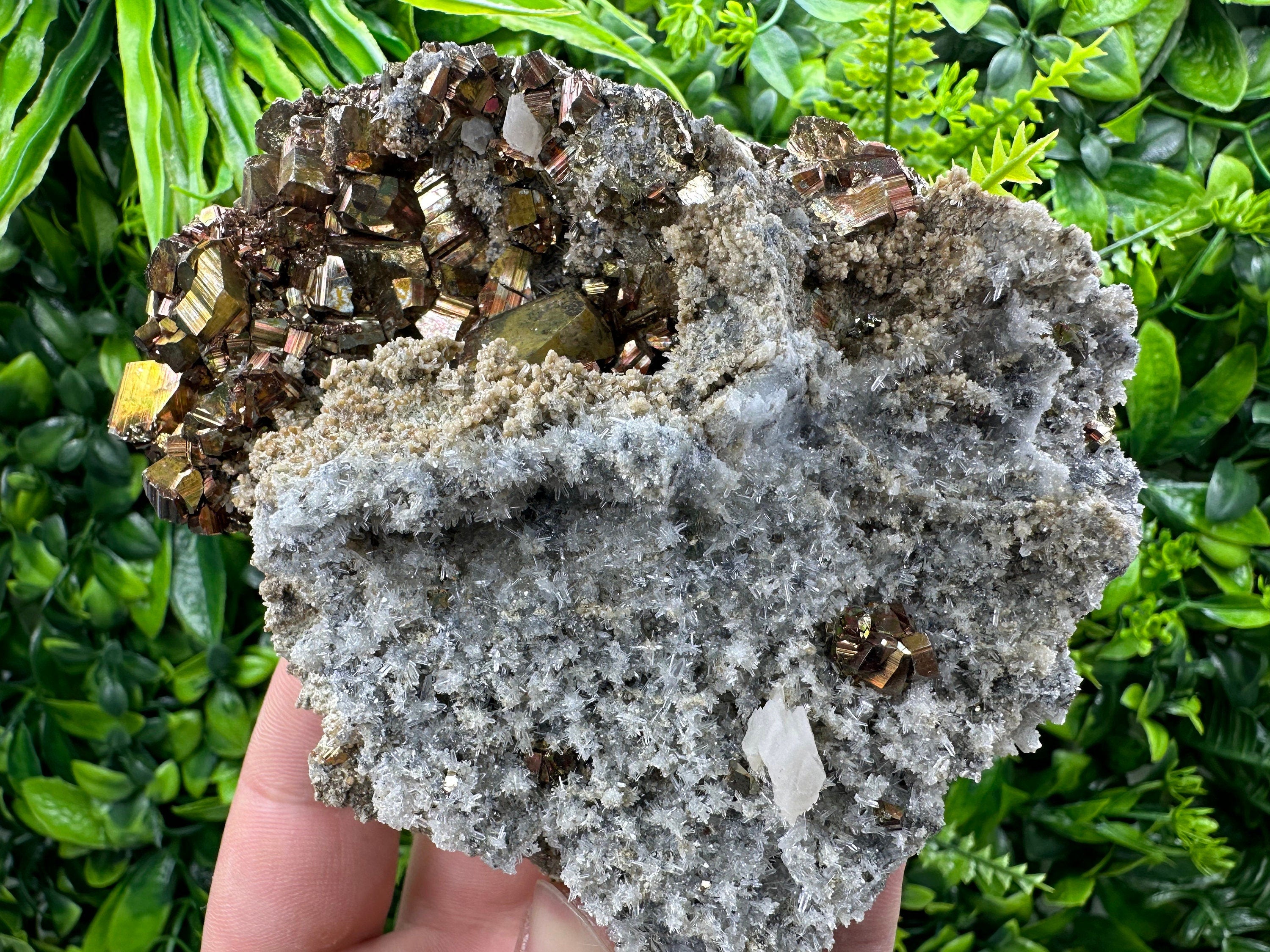 Pyrite on Quartz and Calcite: Natural Mineral Collection, Borieva Bulgaria
