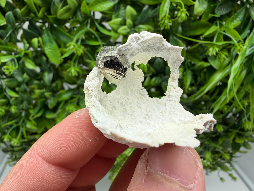 Wonderful Pyrite on Chalcedony from 9 th September mine,Madan,Bulgaria,natural,Collecting mineral specimen,home decor stone,pyrite crystal