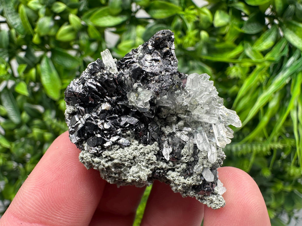 Aesthetic bigger Sphalerite whit Chlorite from Borieva mine Madan Bulgaria natural minerals souvenir crystal gift home decor stone rock