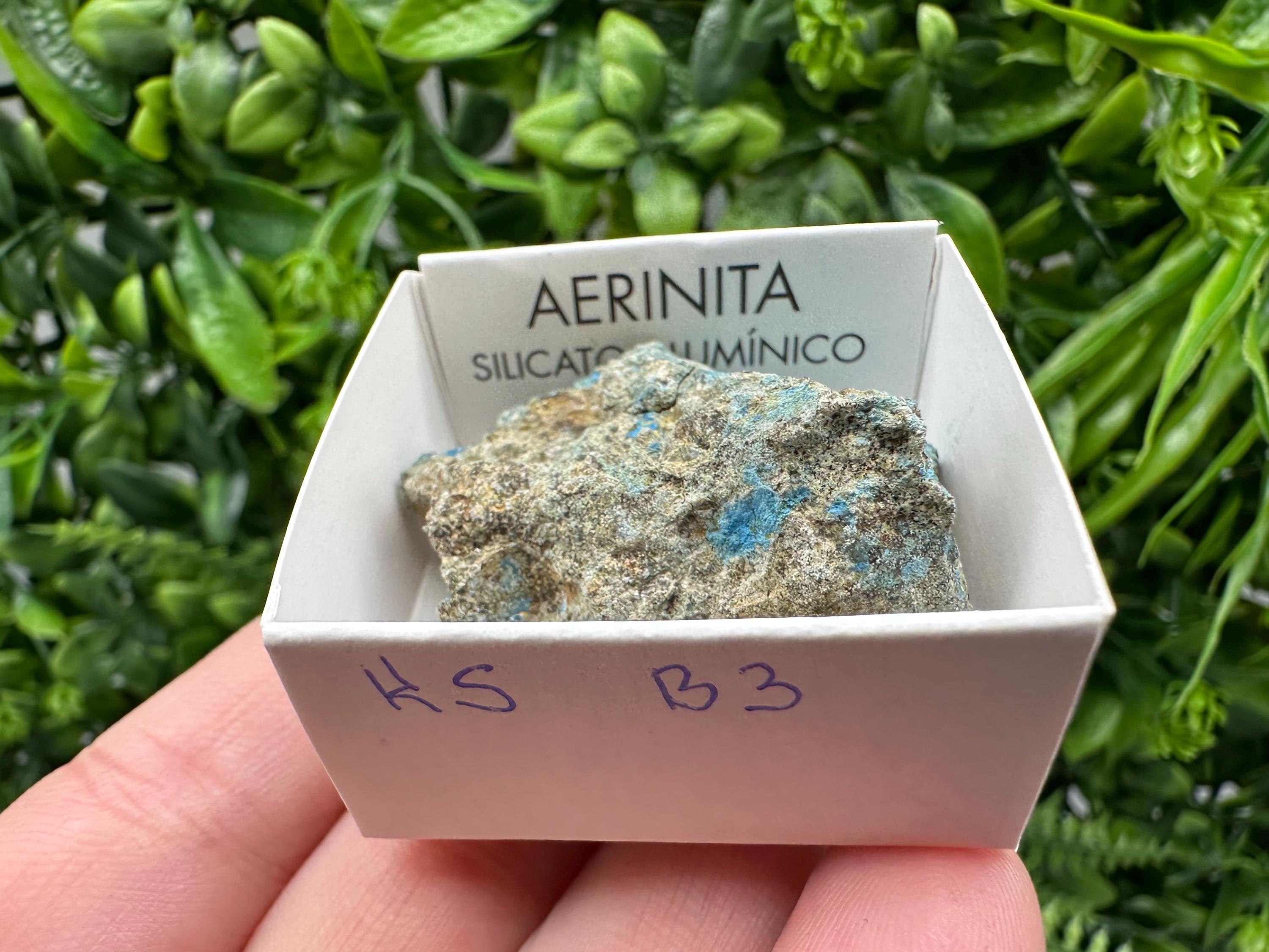 Rare Raw Aerinite Mineral Specimen: Lleida, Spain Crystal
