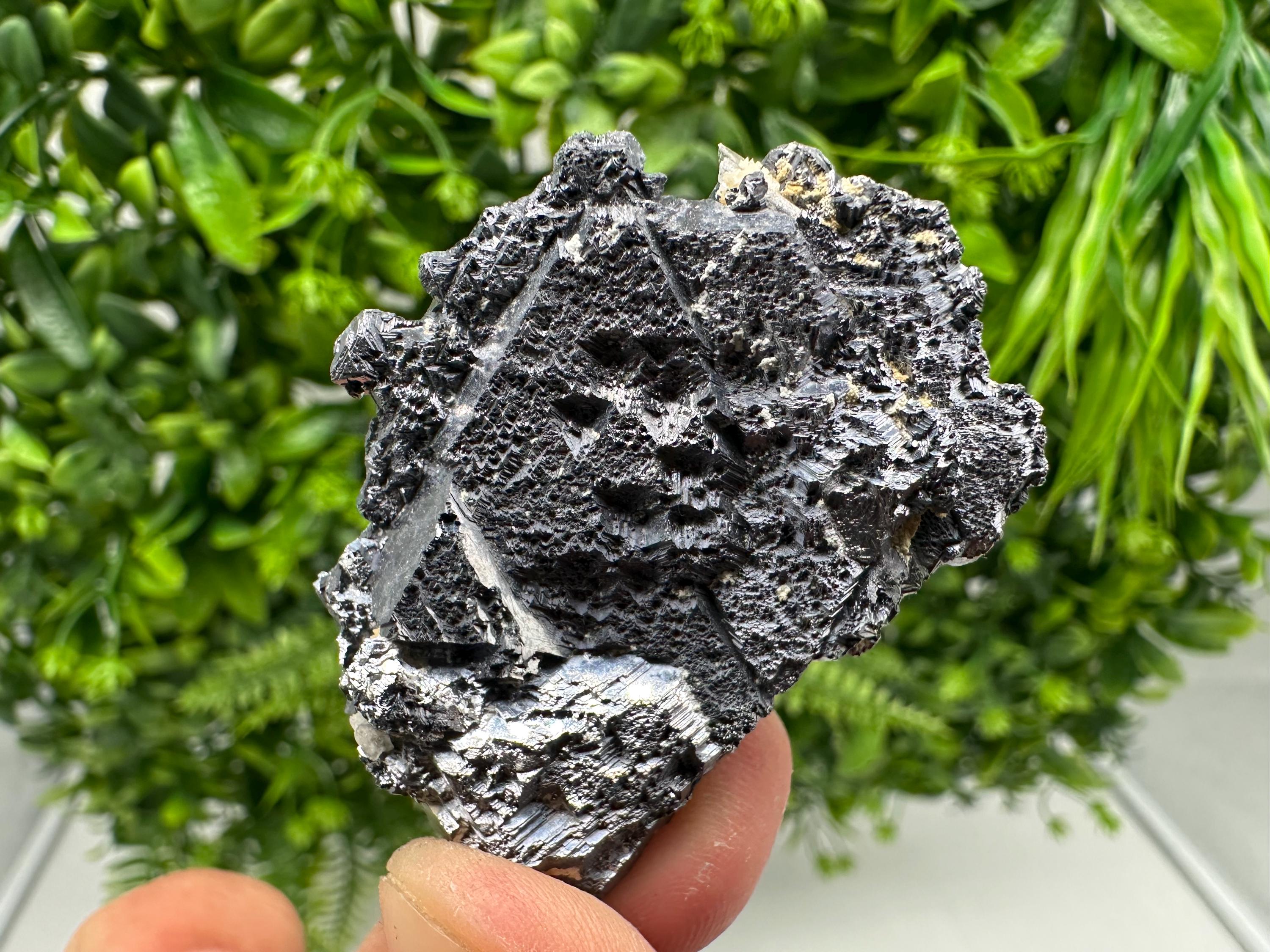 Galena Spinel Law Mineral Specimen: Krushev Dol, Bulgaria