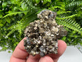 Rare Pyrite Cluster: Golden Rainbow Crystallization, Borieva Mine
