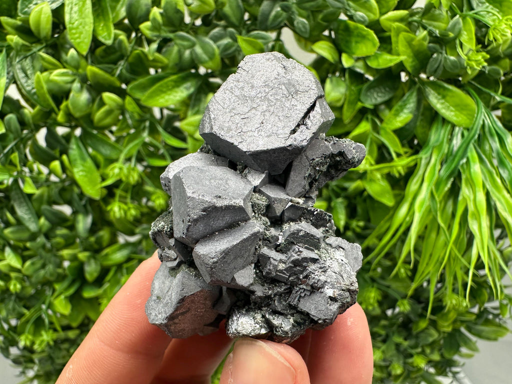 Shiny Galena Cluster from Borieva Mine, Bulgaria