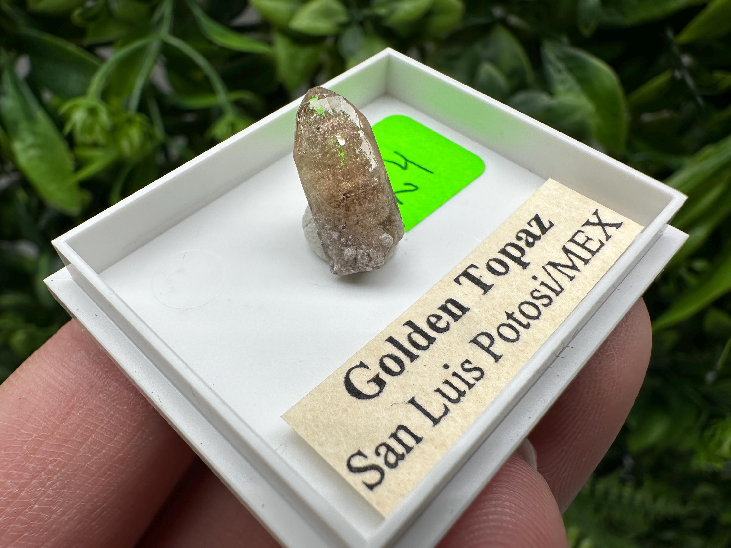 Golden Topaz Crystal, Mineral Specimen from Mexico