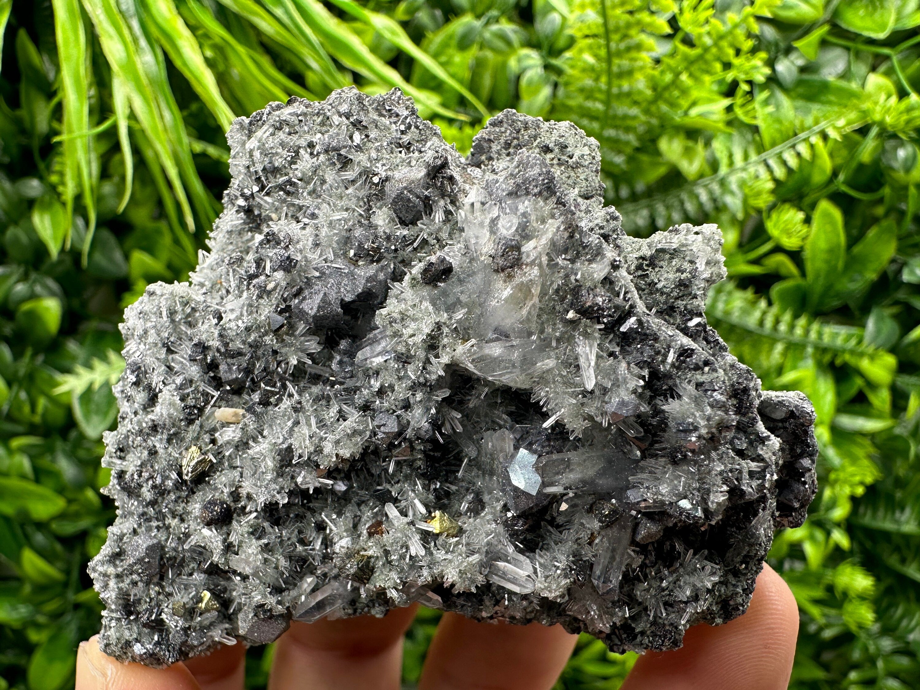 Chalcopyrite Galena on Quartz with Chlorite, Bulgaria Mineral Specimen