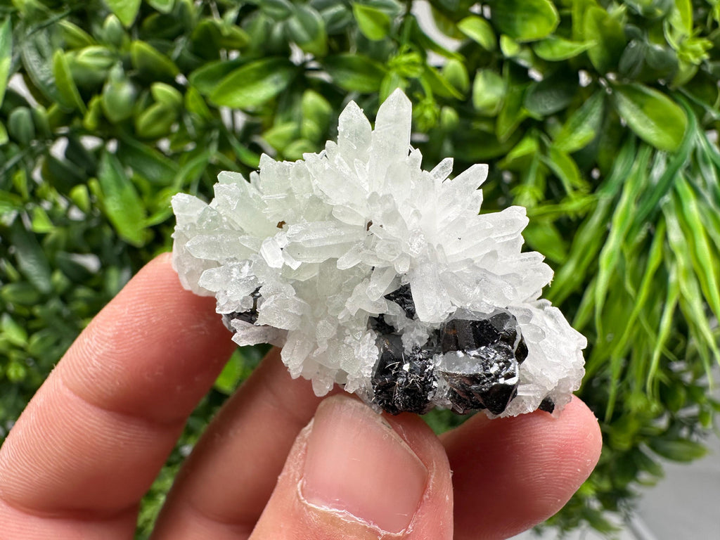 Sphalerite on Quartz, Bulgaria Mineral Specimen, Home Decor Crystal