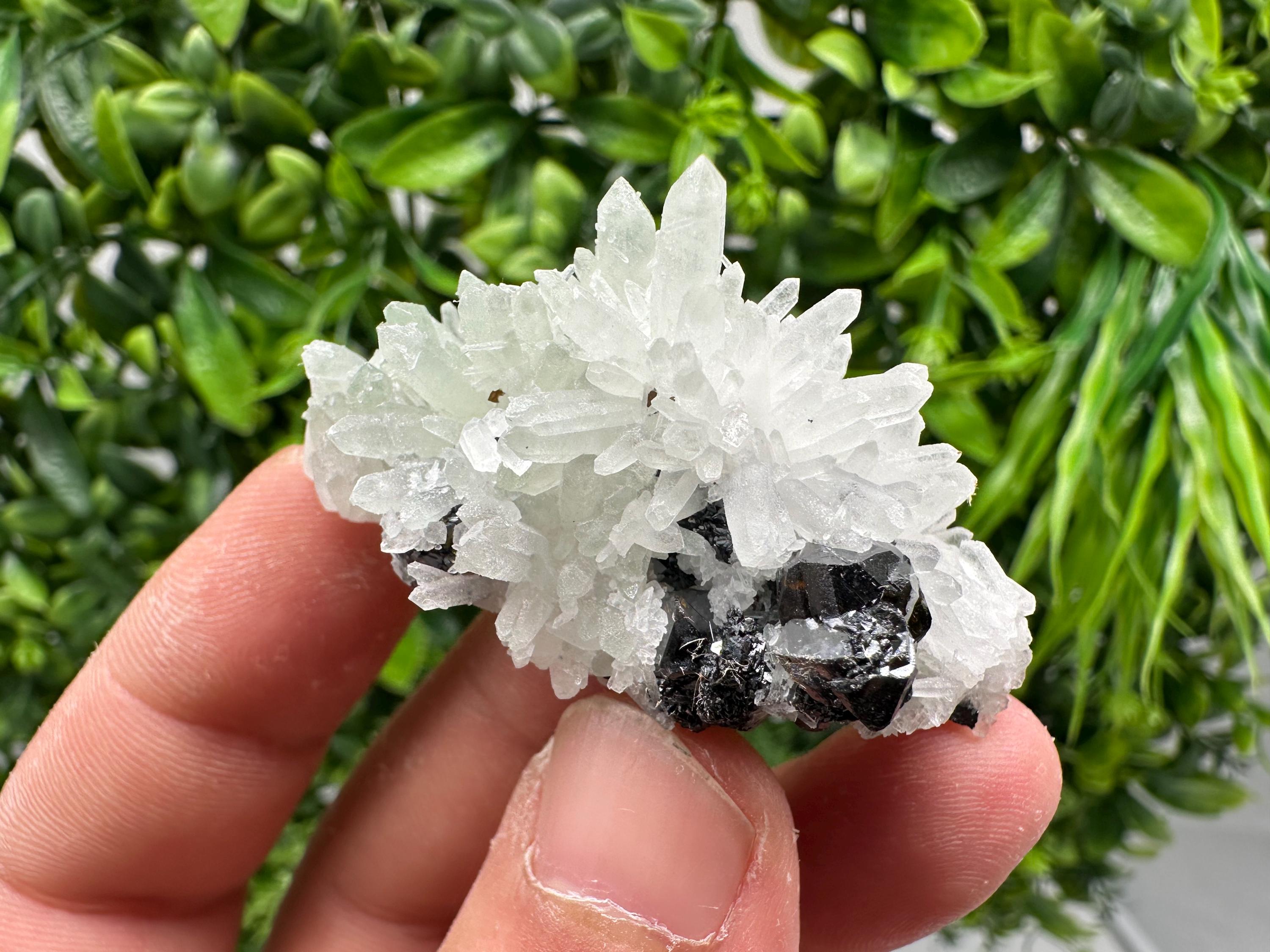 Sphalerite on Quartz, Bulgaria Mineral Specimen, Home Decor Crystal