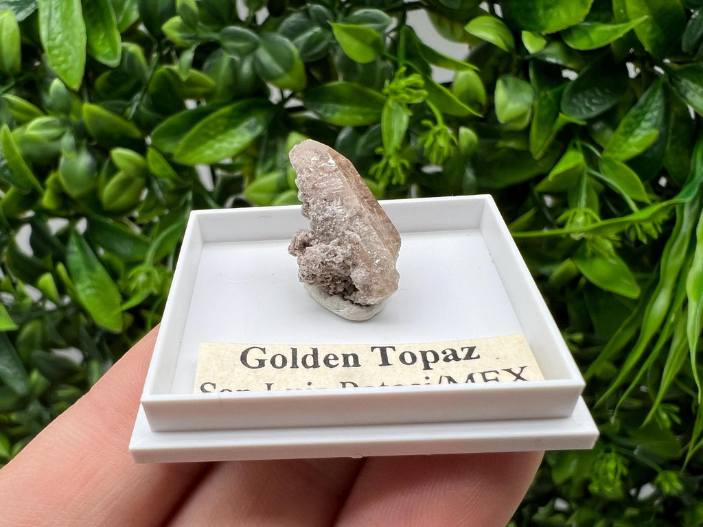 Beautiful Golden Topaz from Mexico,collection piece Crystal,Mineral,collectibles,Collectors, Natural Crystal, Minerals from Mexico,original,