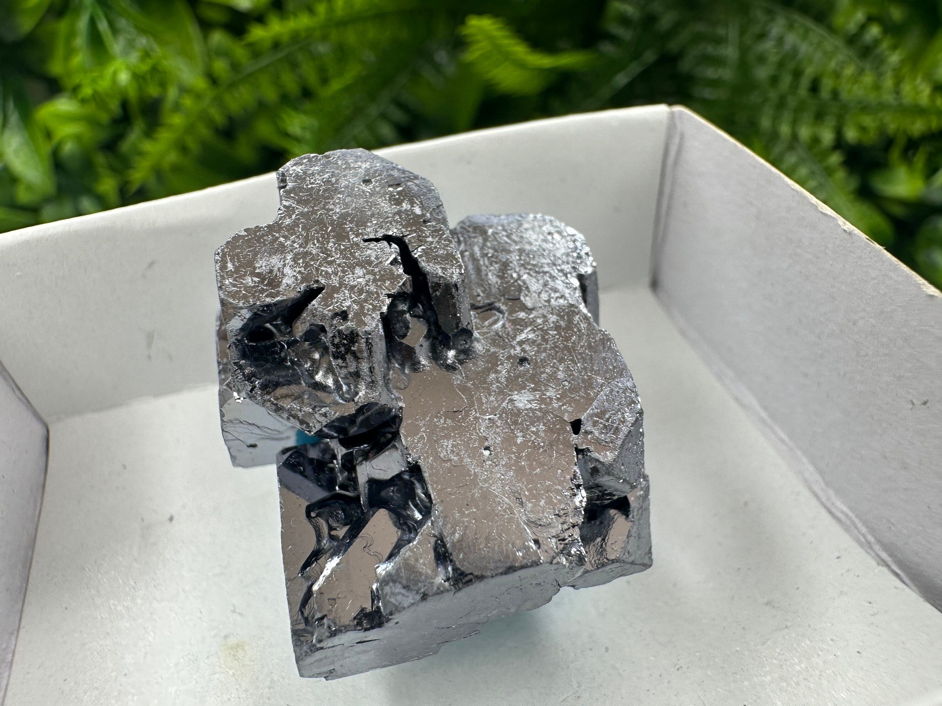 Shiny Galena Cluster: Borieva Mine, Madan, Bulgaria
