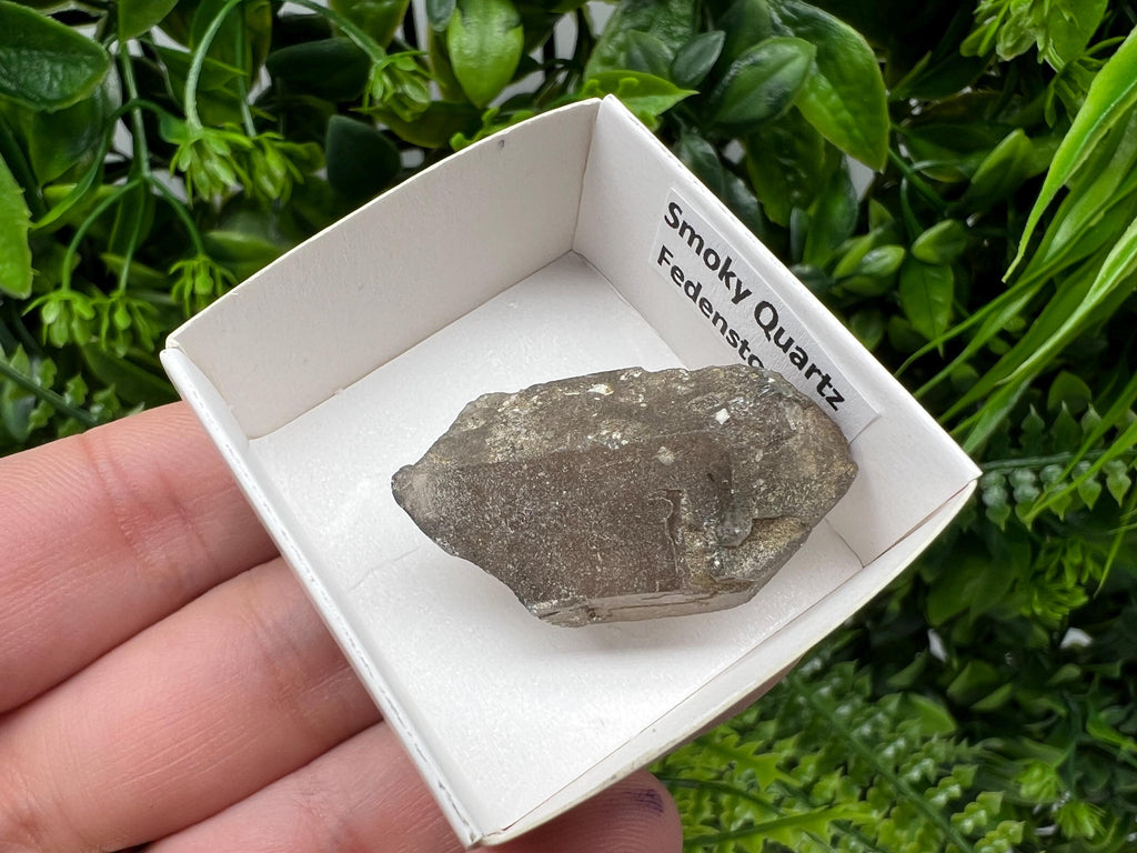 Rare Fedenstock Smoky Quartz Mineral Specimen, Switzerland (57 MM)