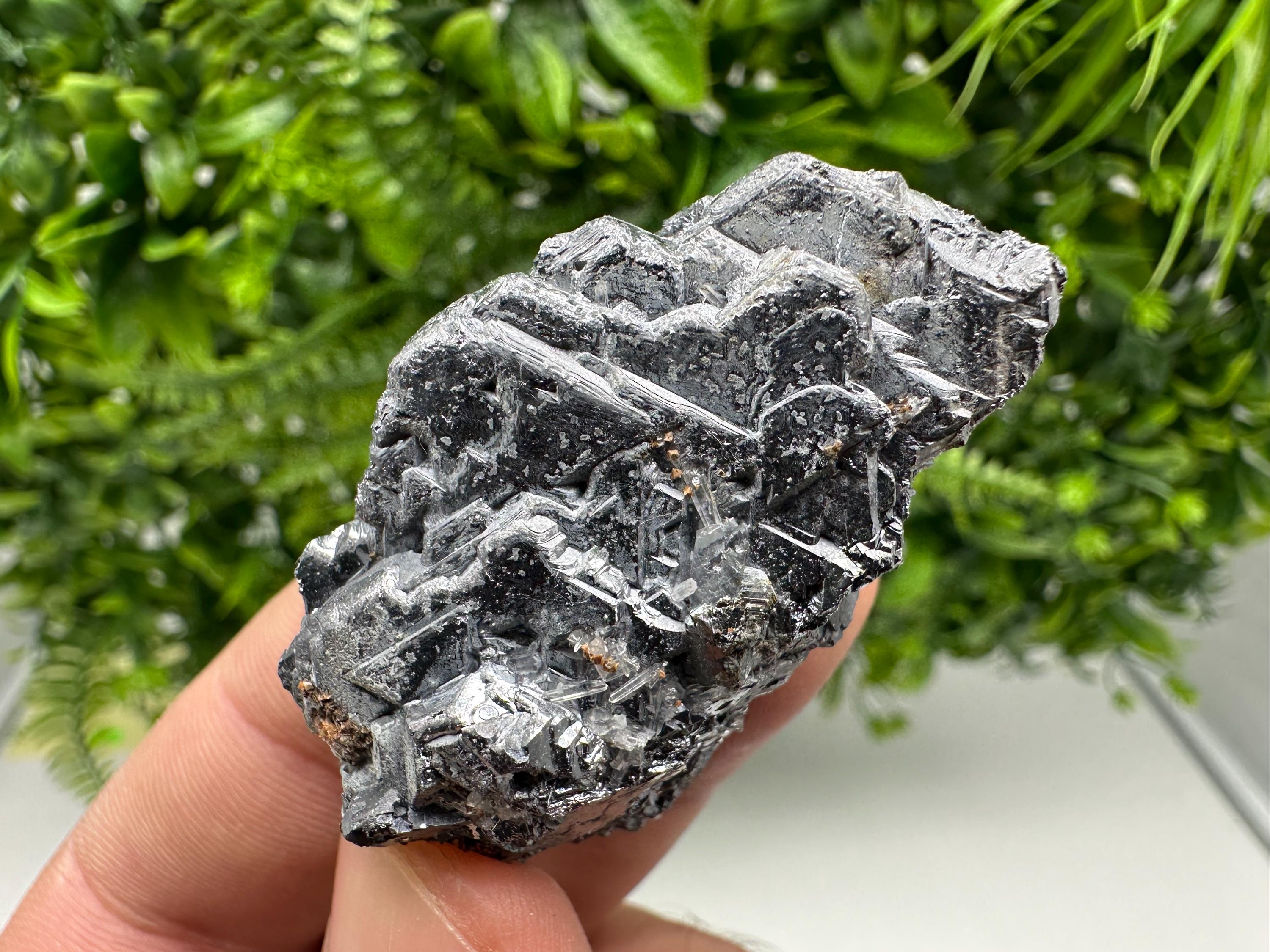Galena Spinel Law Mineral Specimen: Krushev Dol, Bulgaria