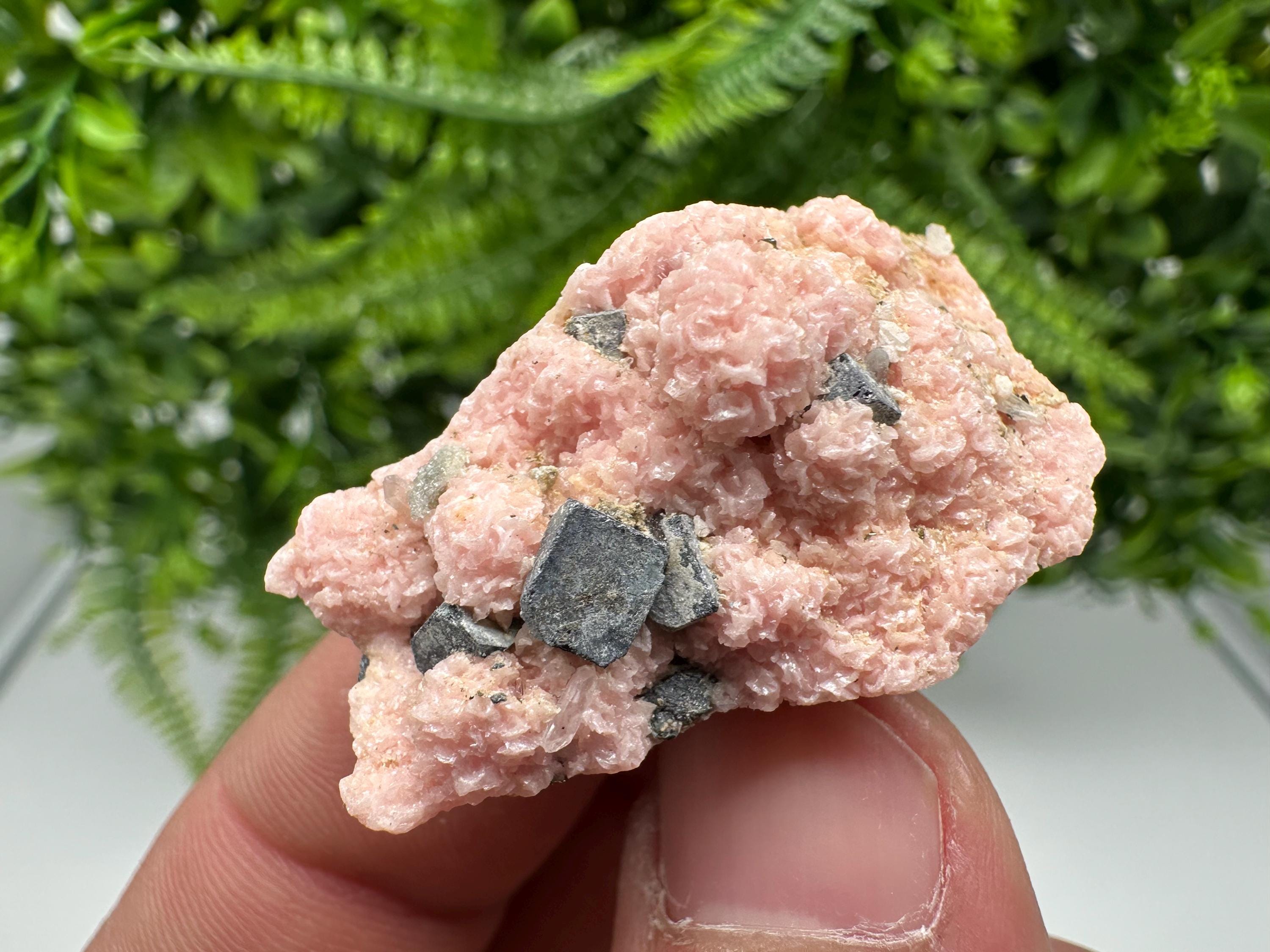 Rhodochrosite on Quartz: Pink Crystal Home Decor, Bulgaria Mineral Souvenir