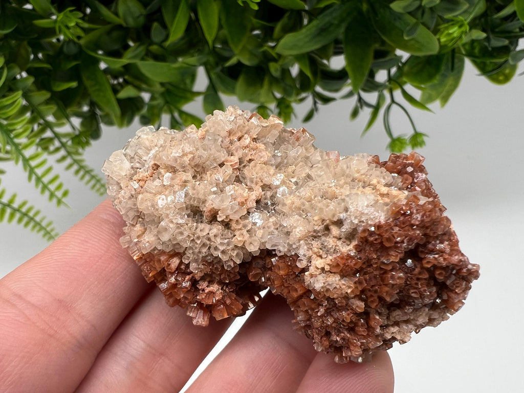 Large Aragonite Sputnik Cluster: Raw Moroccan Crystal Stone